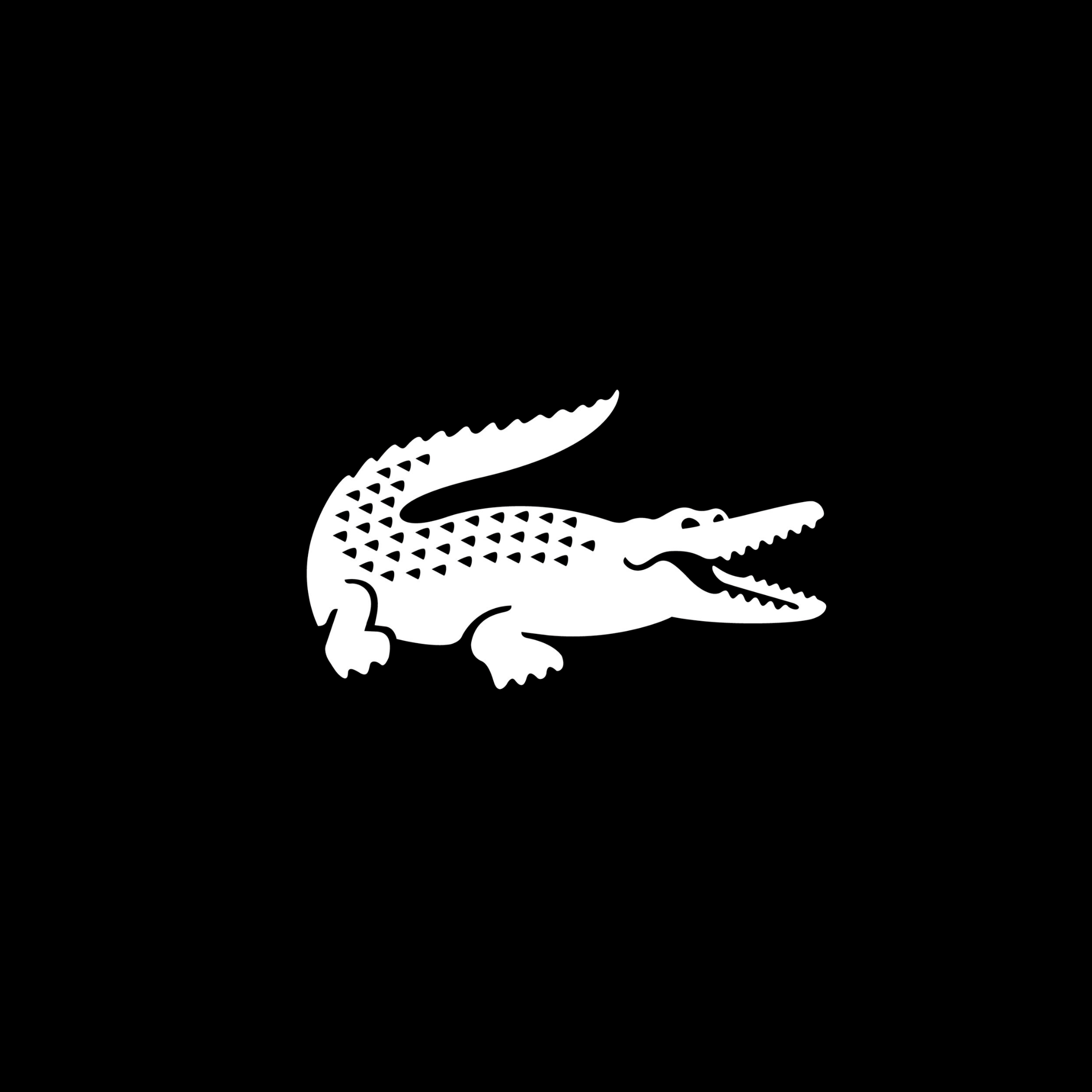 LACOSTE - MR Shoes Accessories