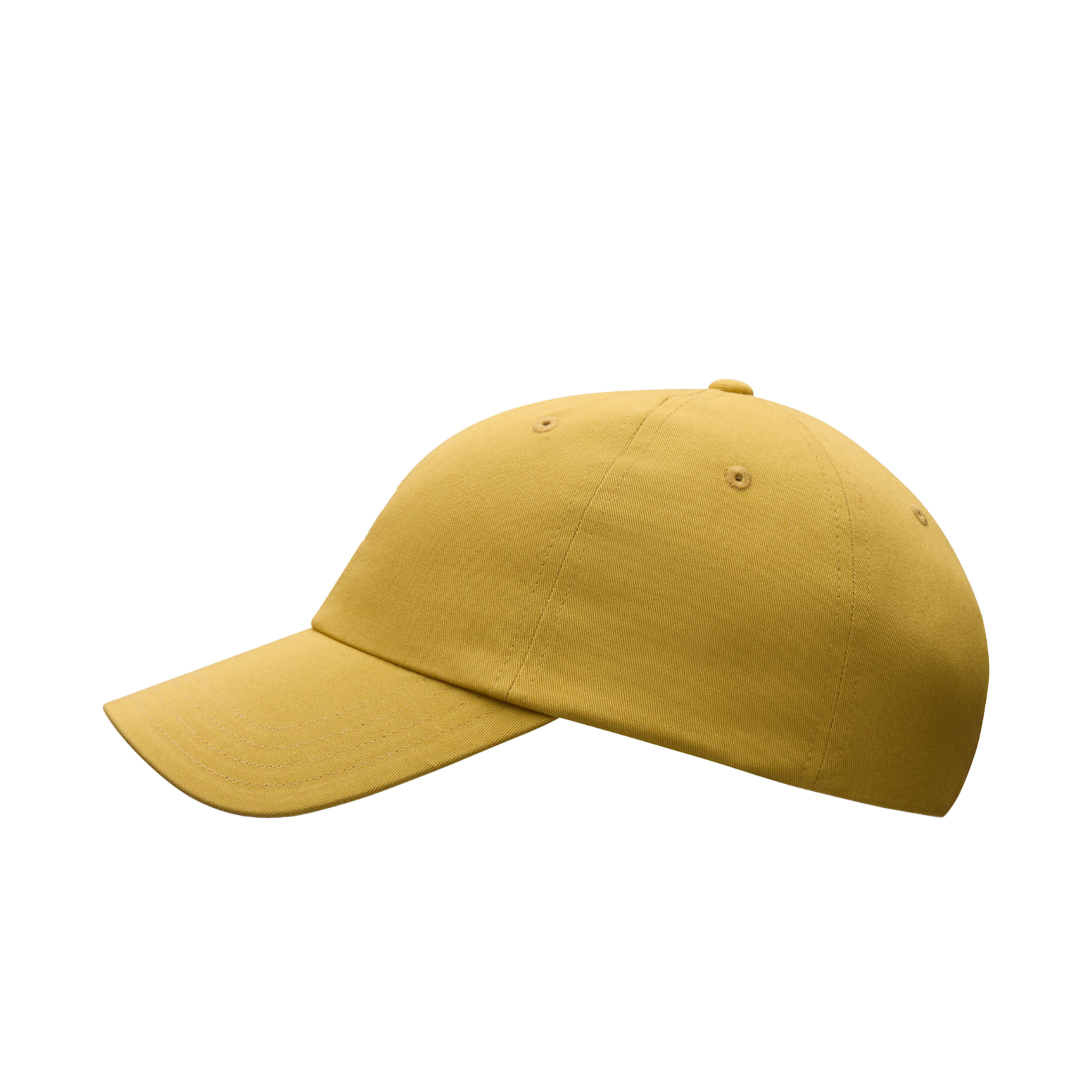 On All-Day Cap - Lense