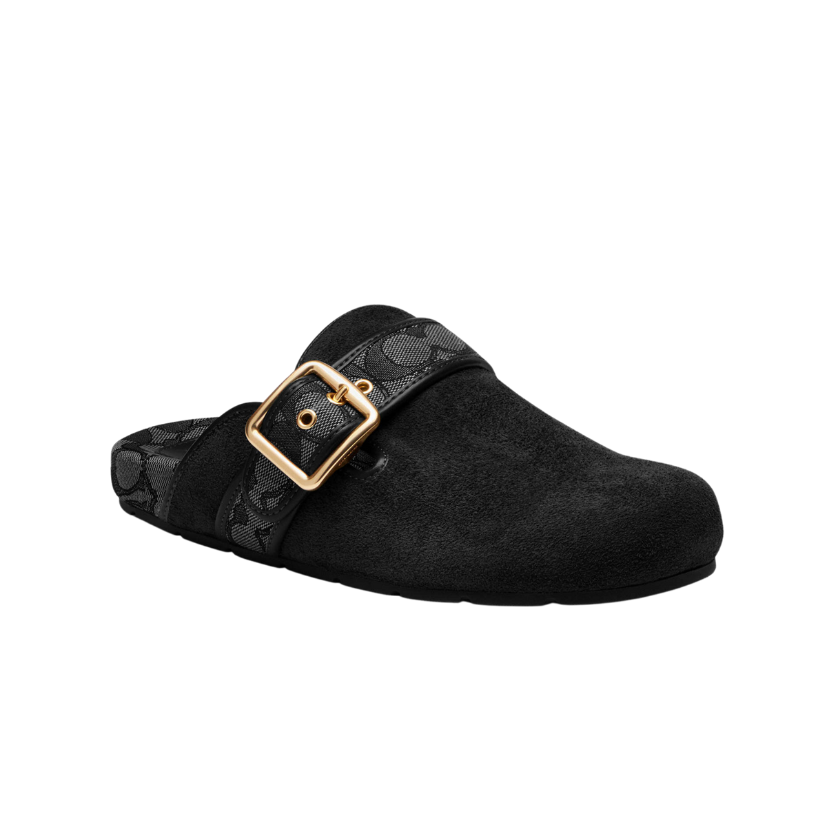 Coach Women's Archival Buckle Clog - Suede Black