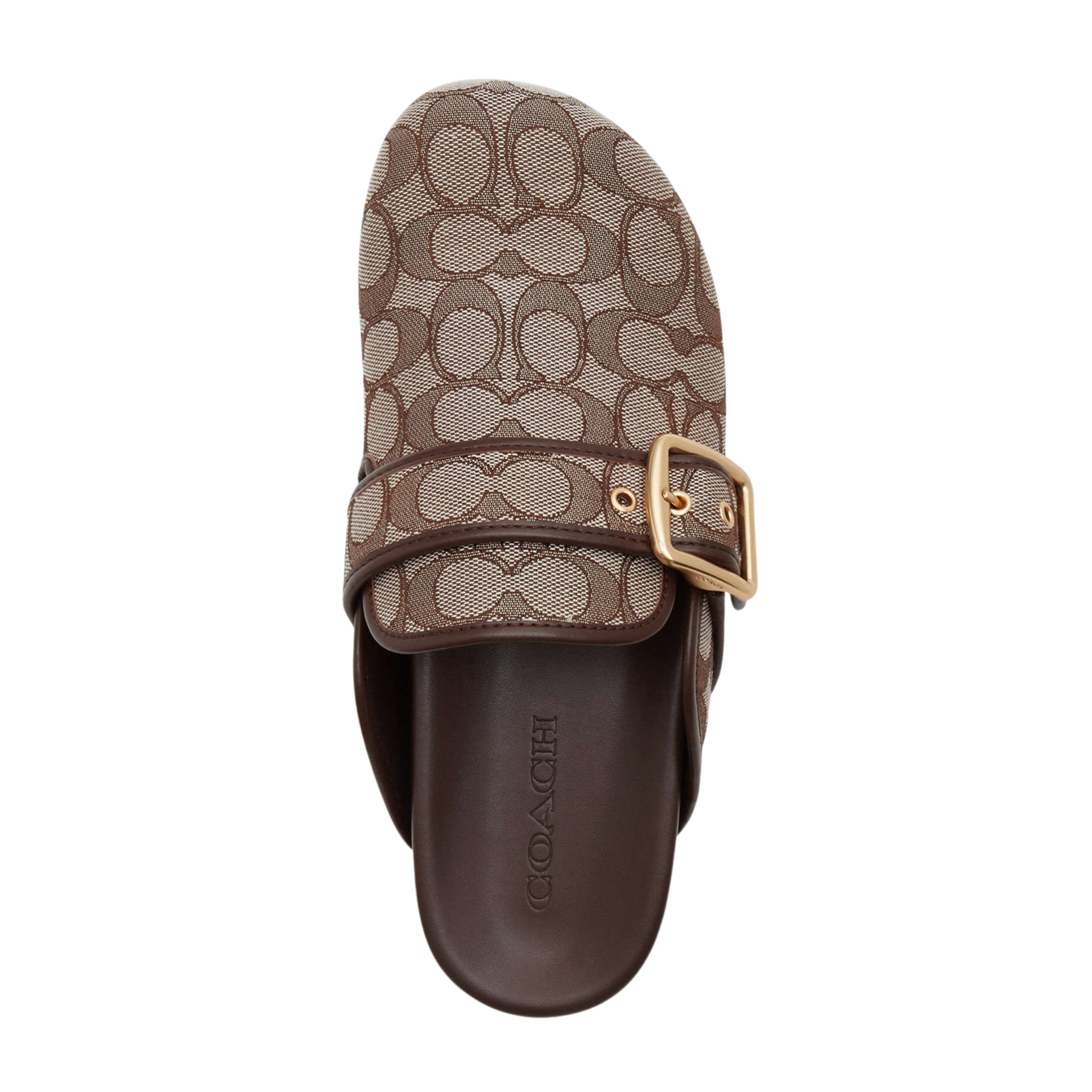 COACH Women's Archival Buckle Clog - Oak Maple