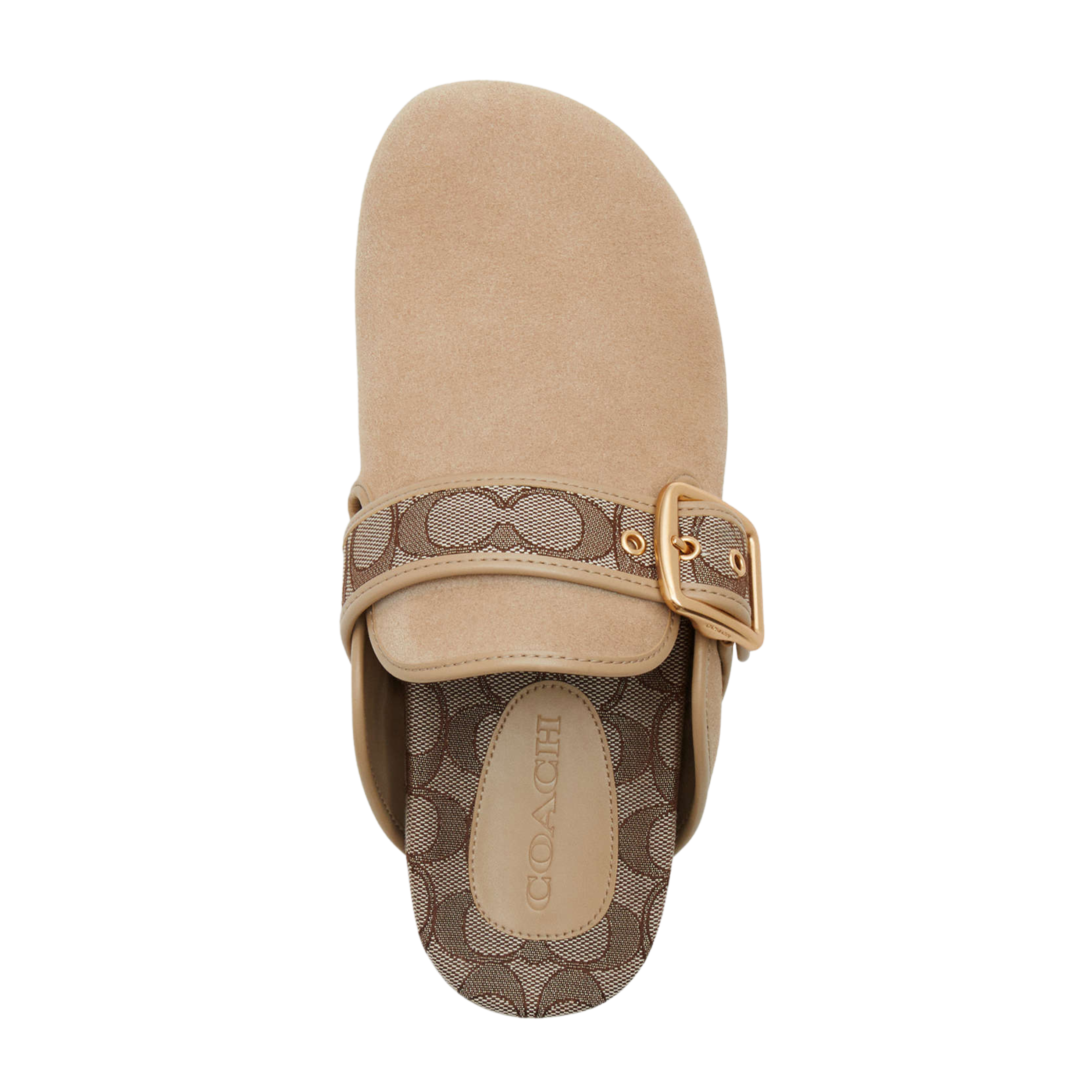 COACH Women's Archival Buckle Clog - Oat