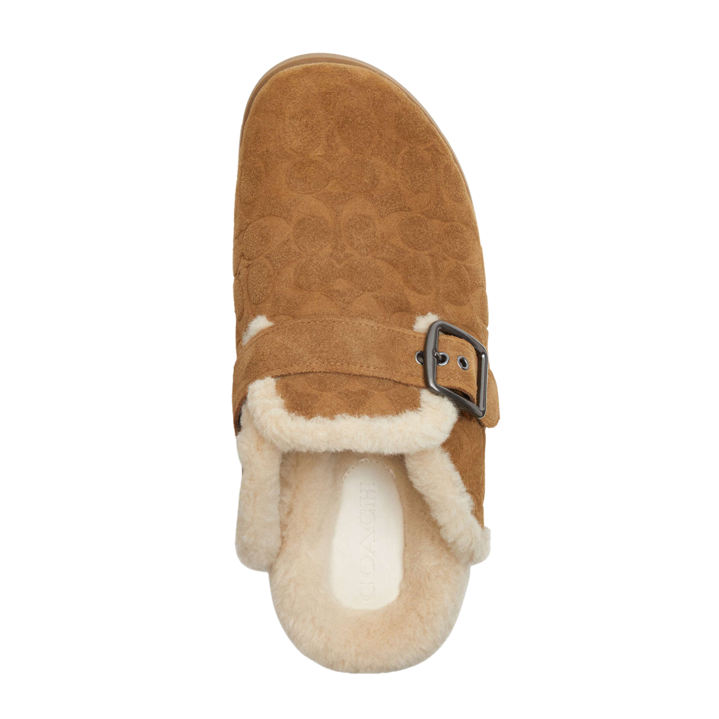 Coach Men's Buckle Clog - Shearling Tobacco