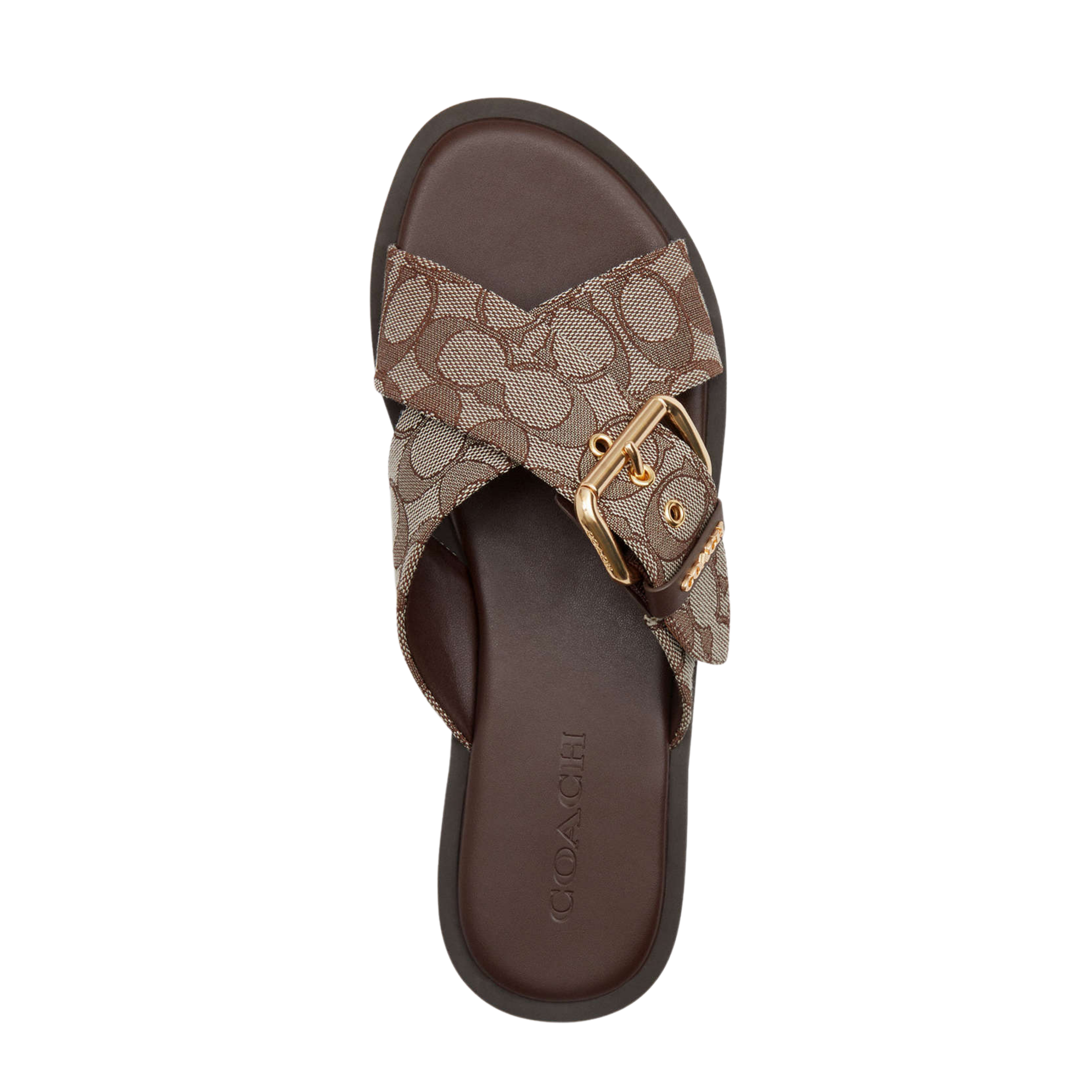 Coach Women's Crisscross Buckle Sandal - Oak Maple