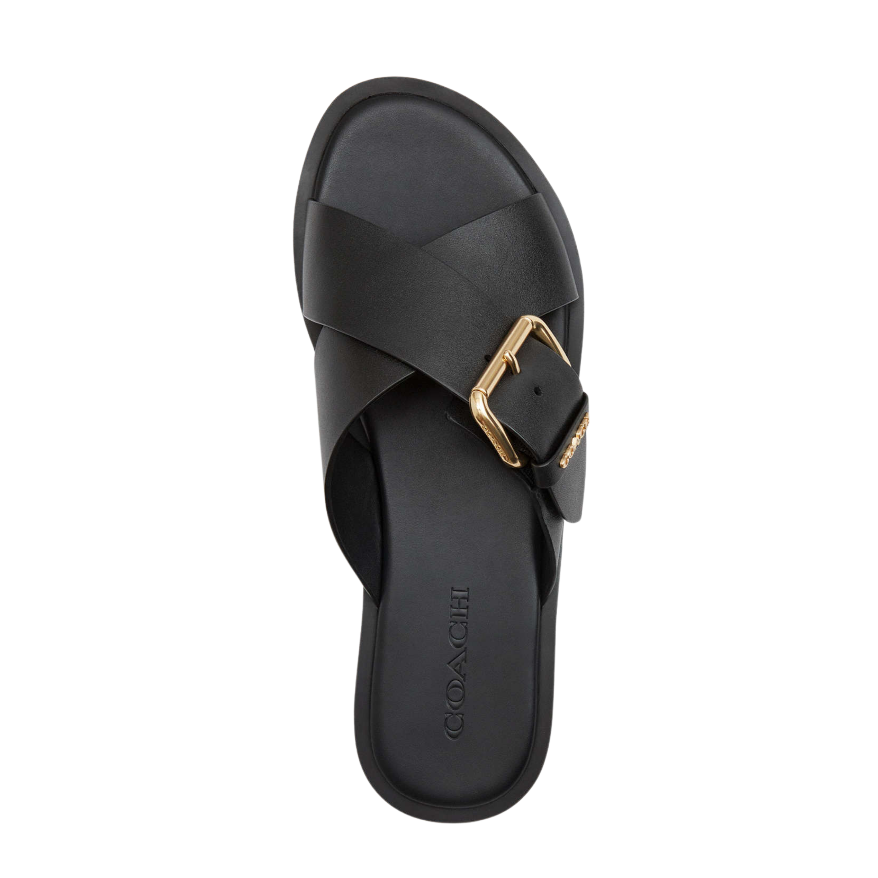 Coach Women's Crisscross Buckle Sandal - Black