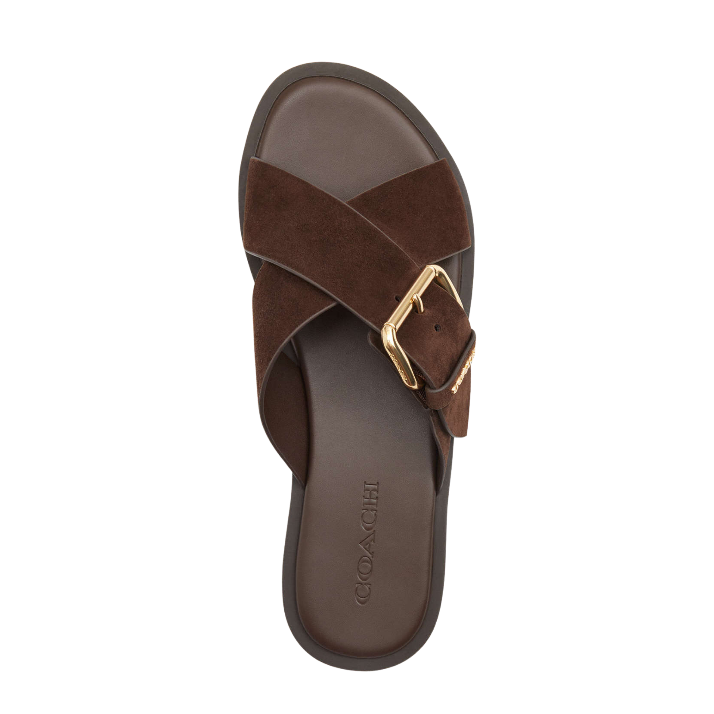 Coach Women's Crisscross Buckle Sandal - Chocolate Brown