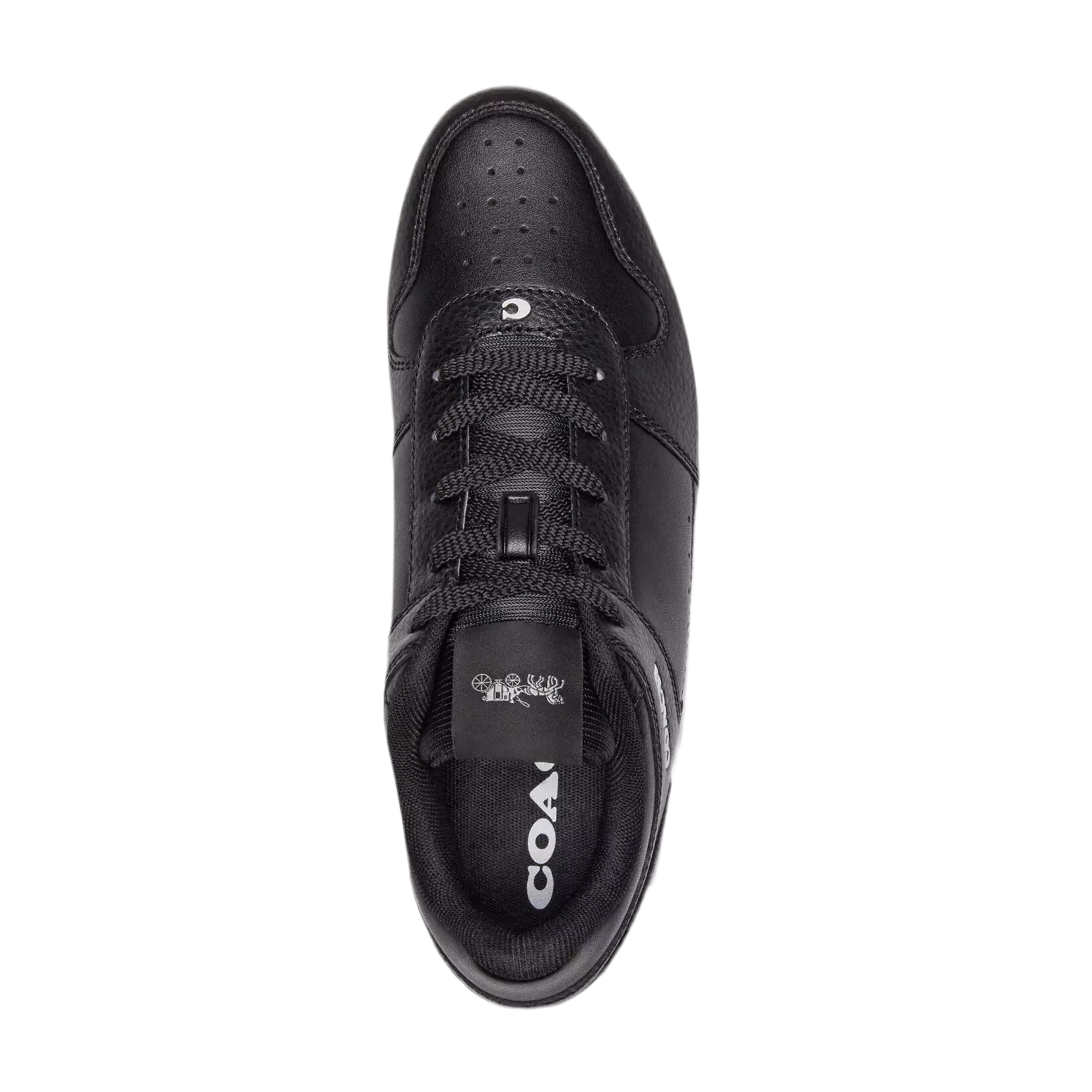 COACH Women's Platform Sneaker - Black