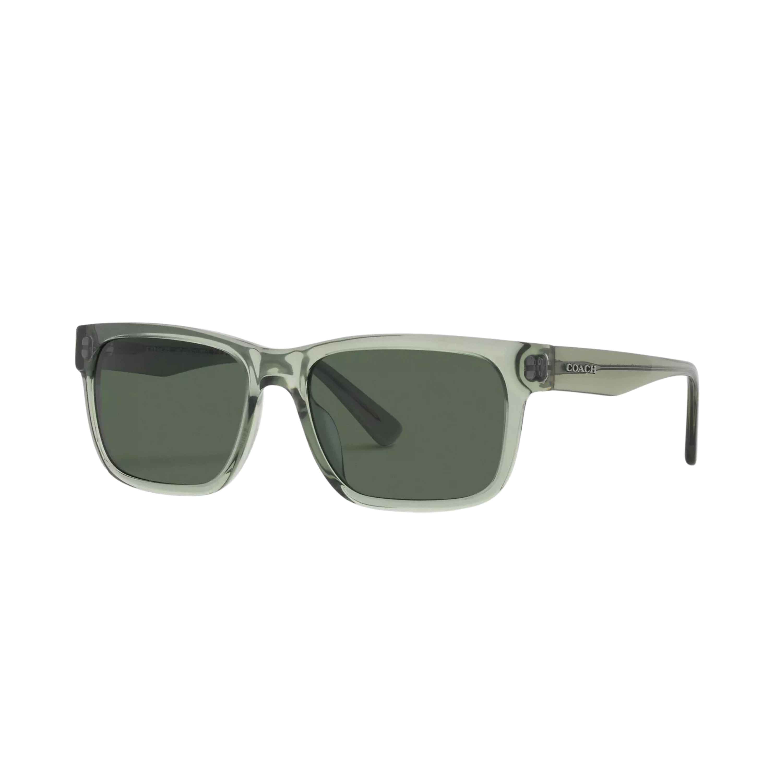 COACH Men Square Frame Sunglasses - Transparent Green