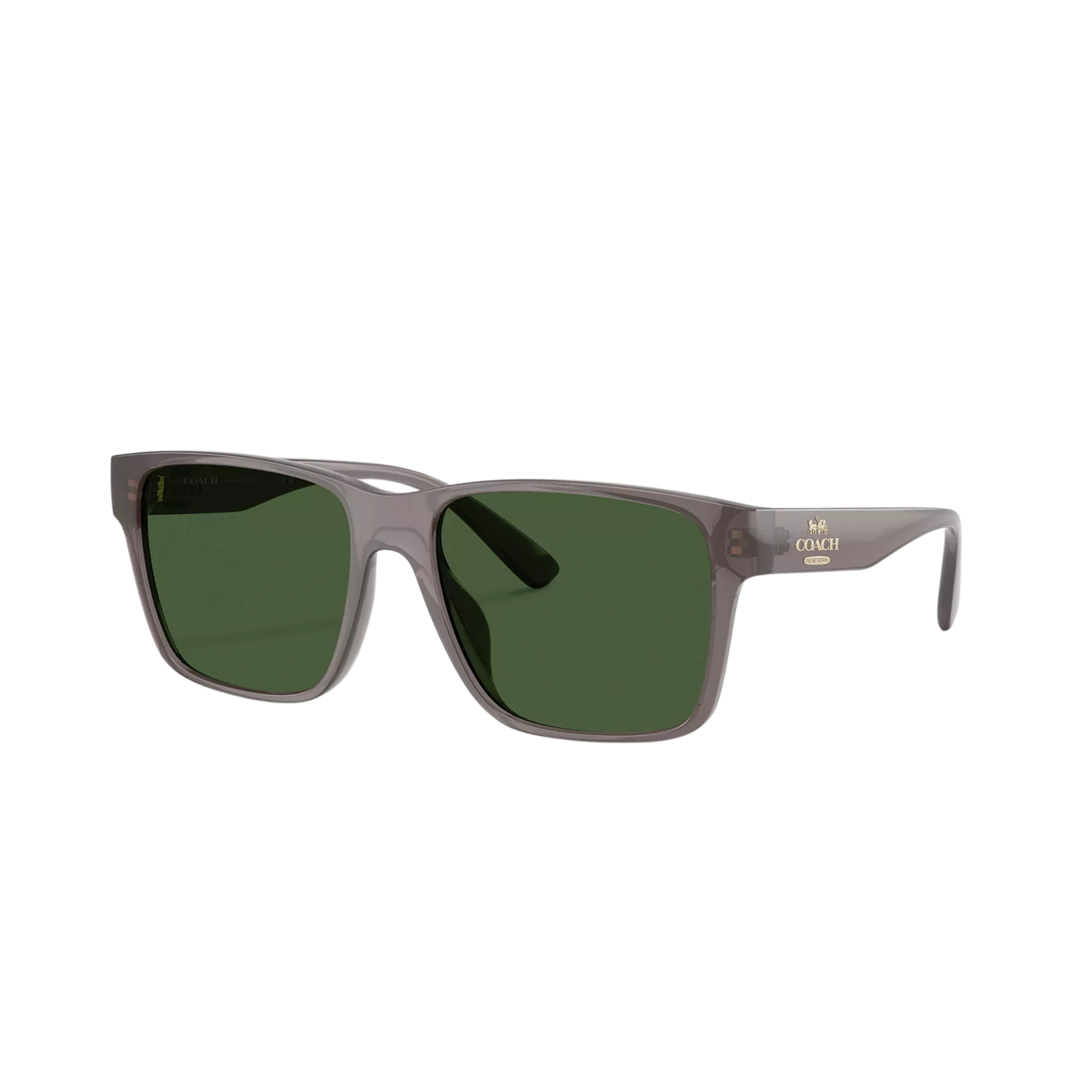 COACH Men Square Sunglasses - Transparent Gray