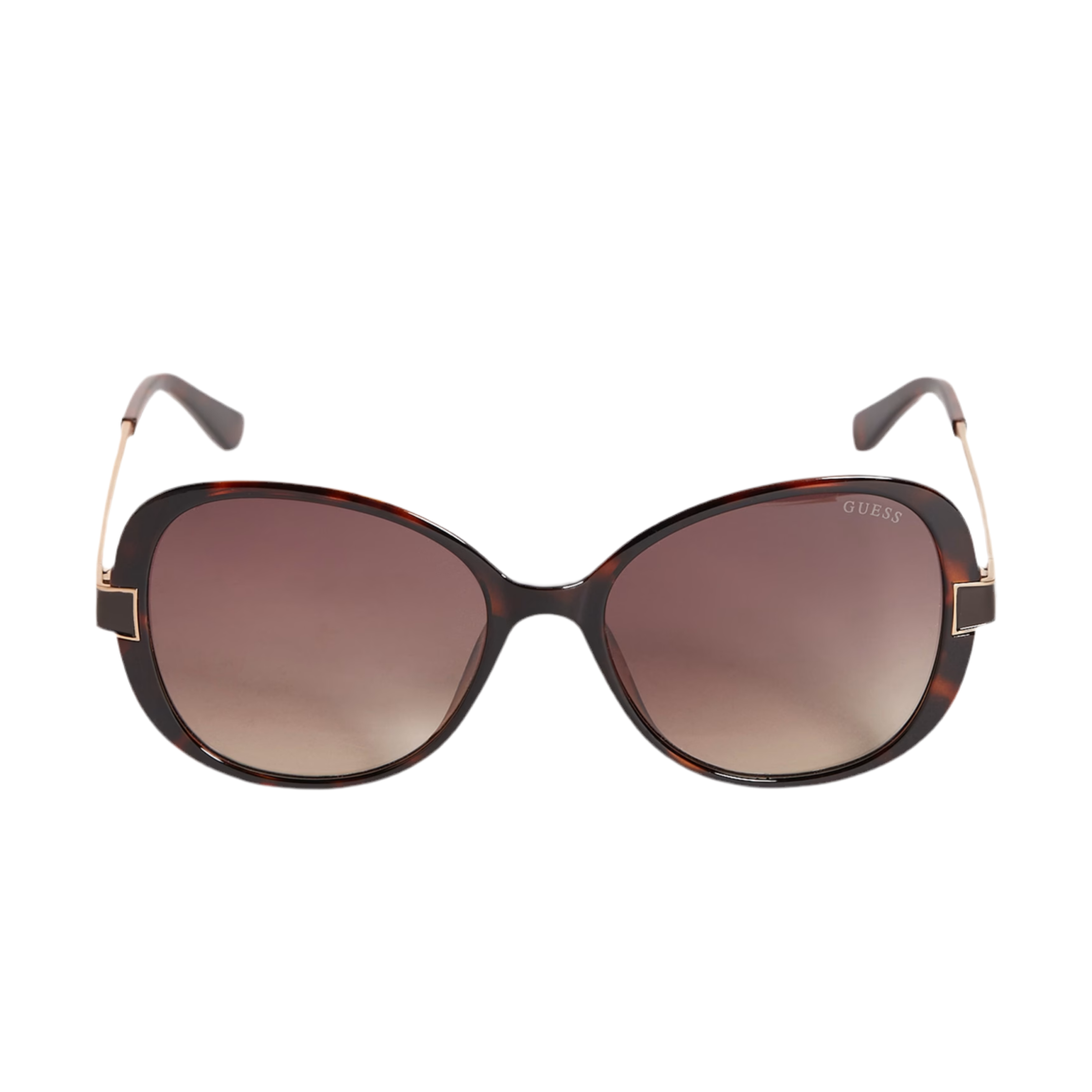 Guess Women Oversized Oval Sunglasses - Dark Havana