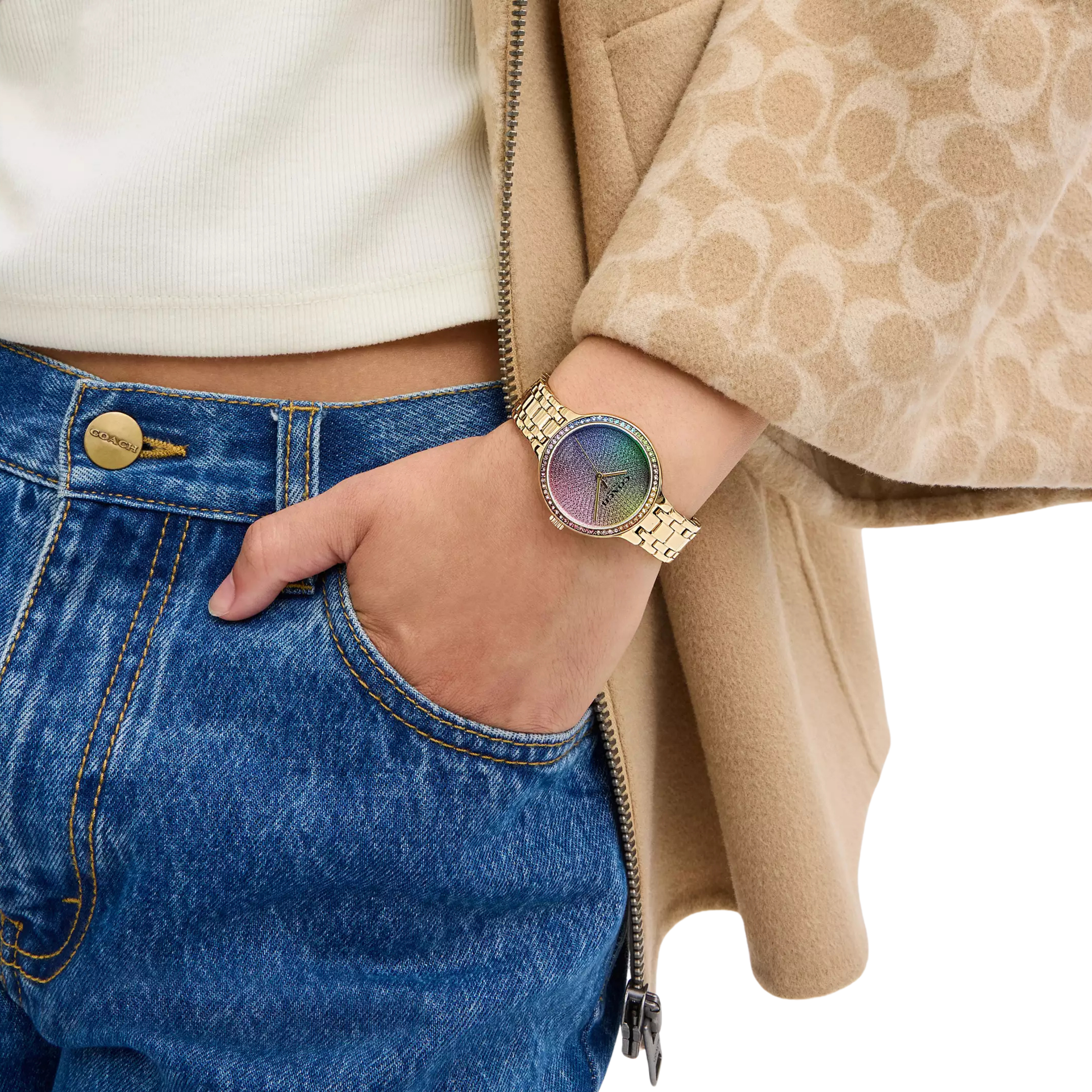 COACH Women Josie Watch 34 Mm - Rainbow