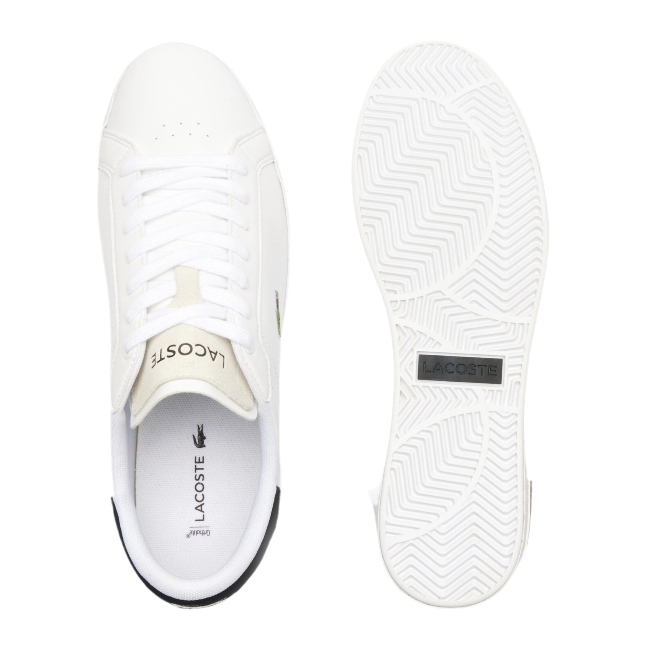 Lacoste Men Powercourt Leather - White