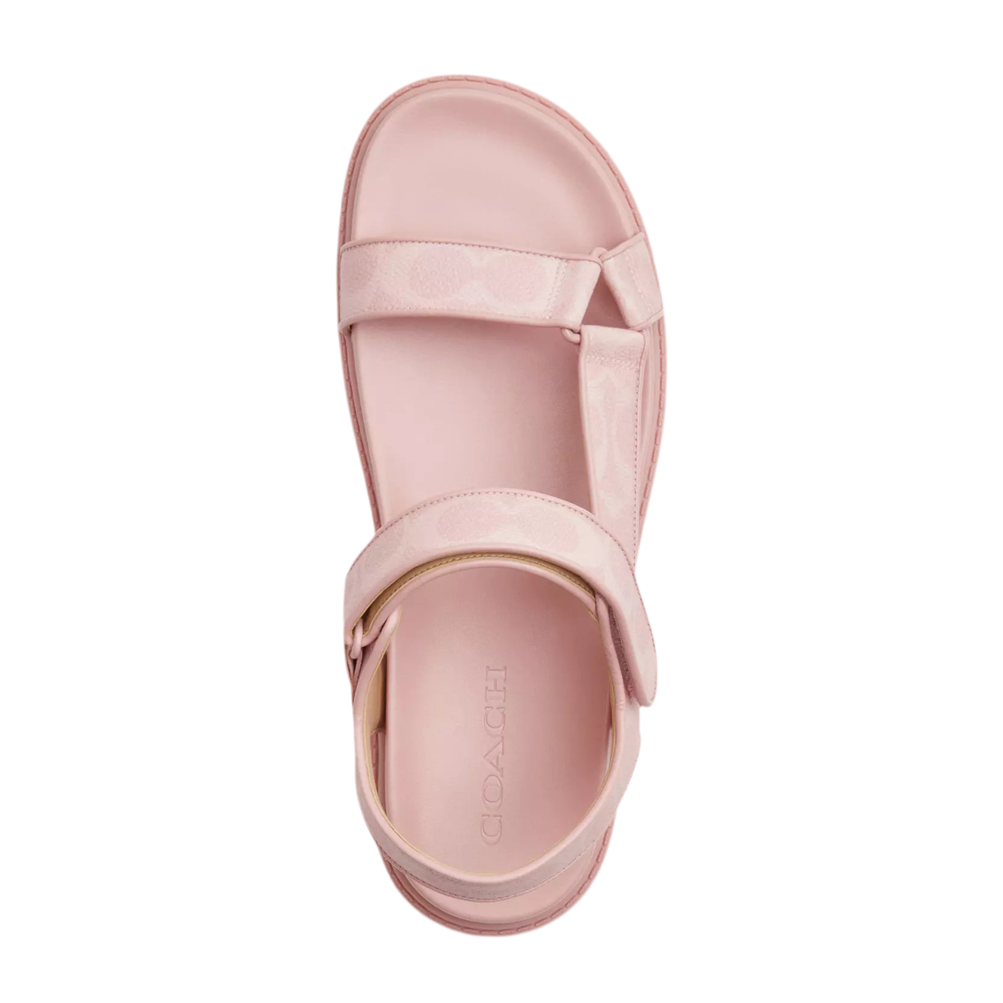 COACH Women's Sport Sandal - Powder Pink