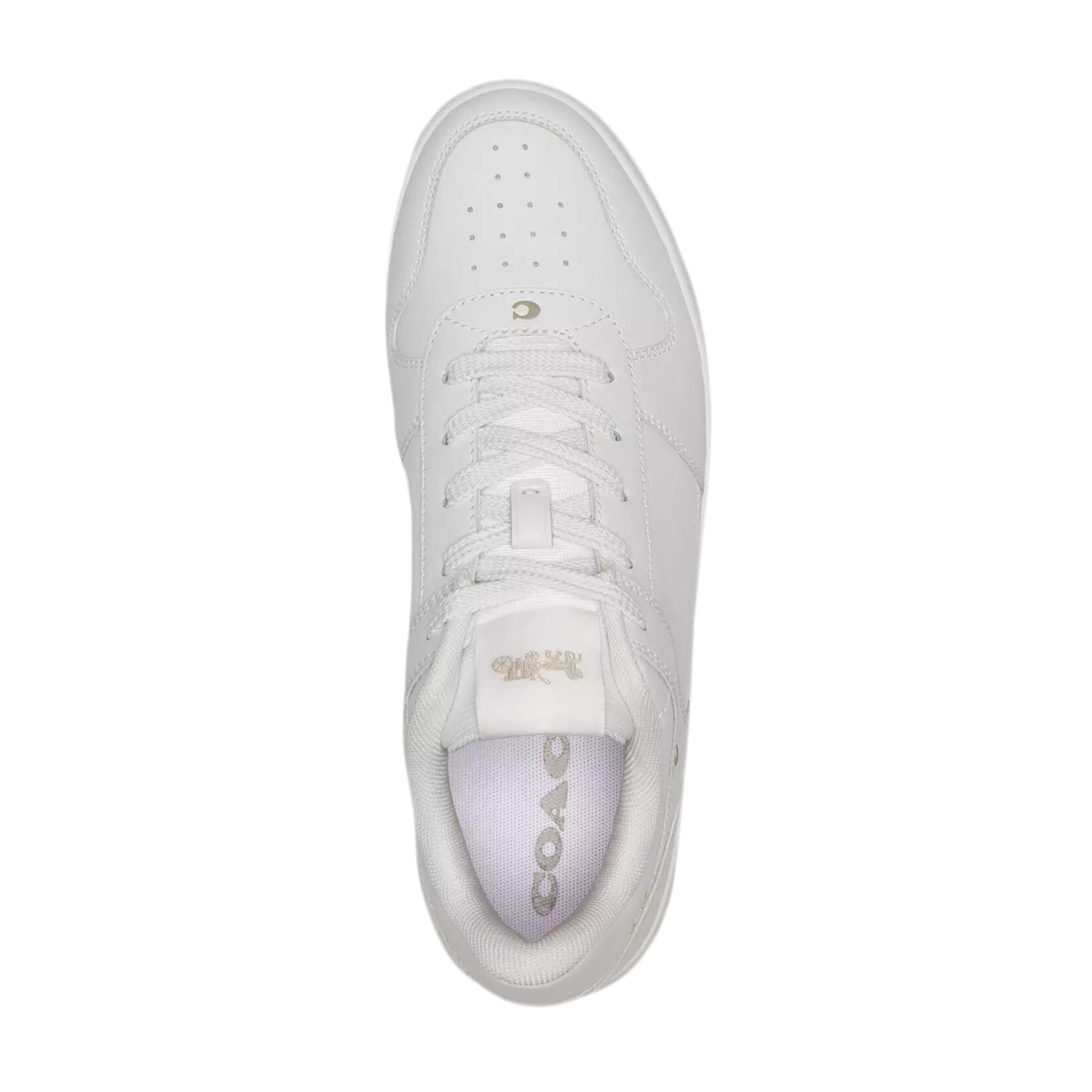 COACH Women's Platform Sneaker - White
