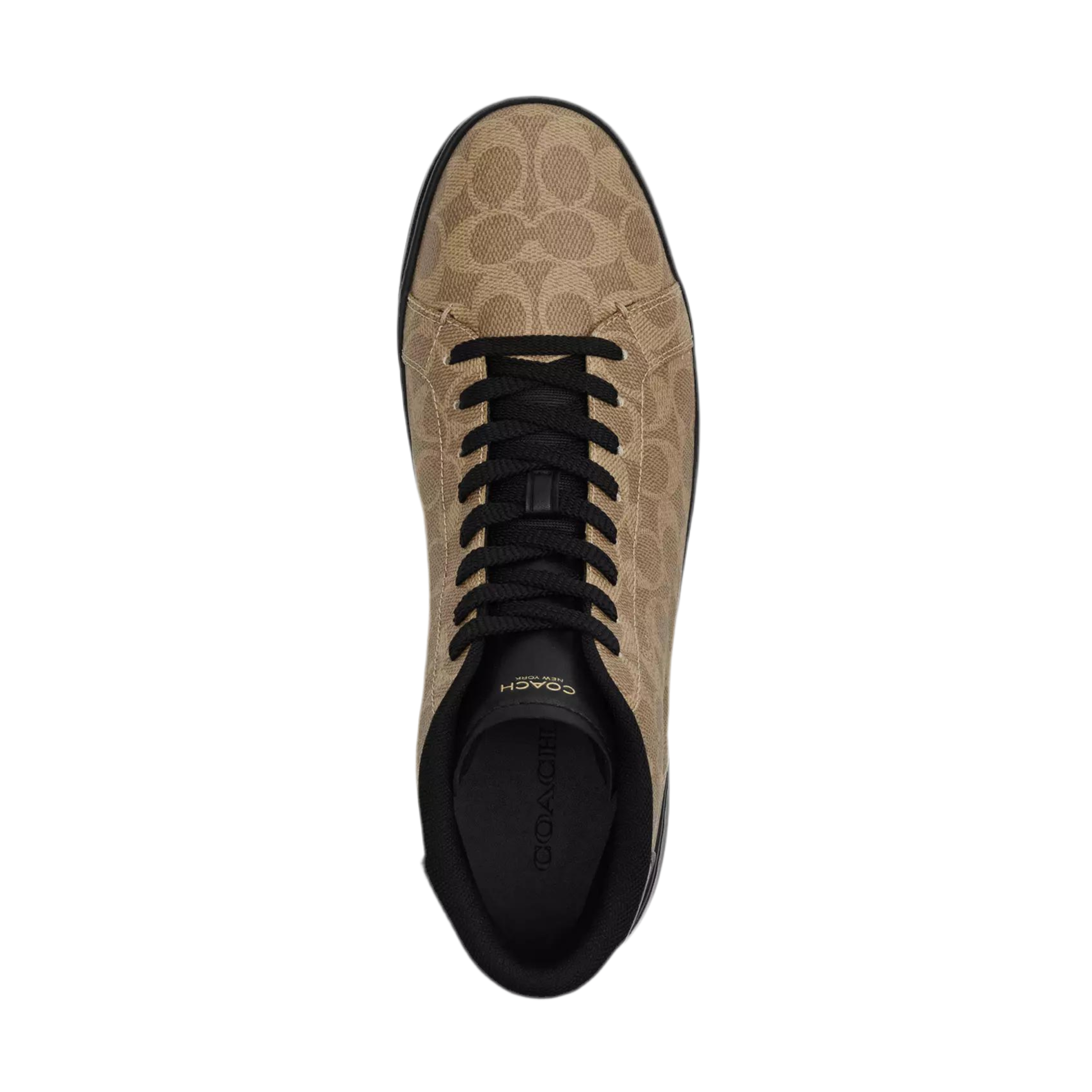 COACH Men's High Line High Top Sneaker - Khaki Black