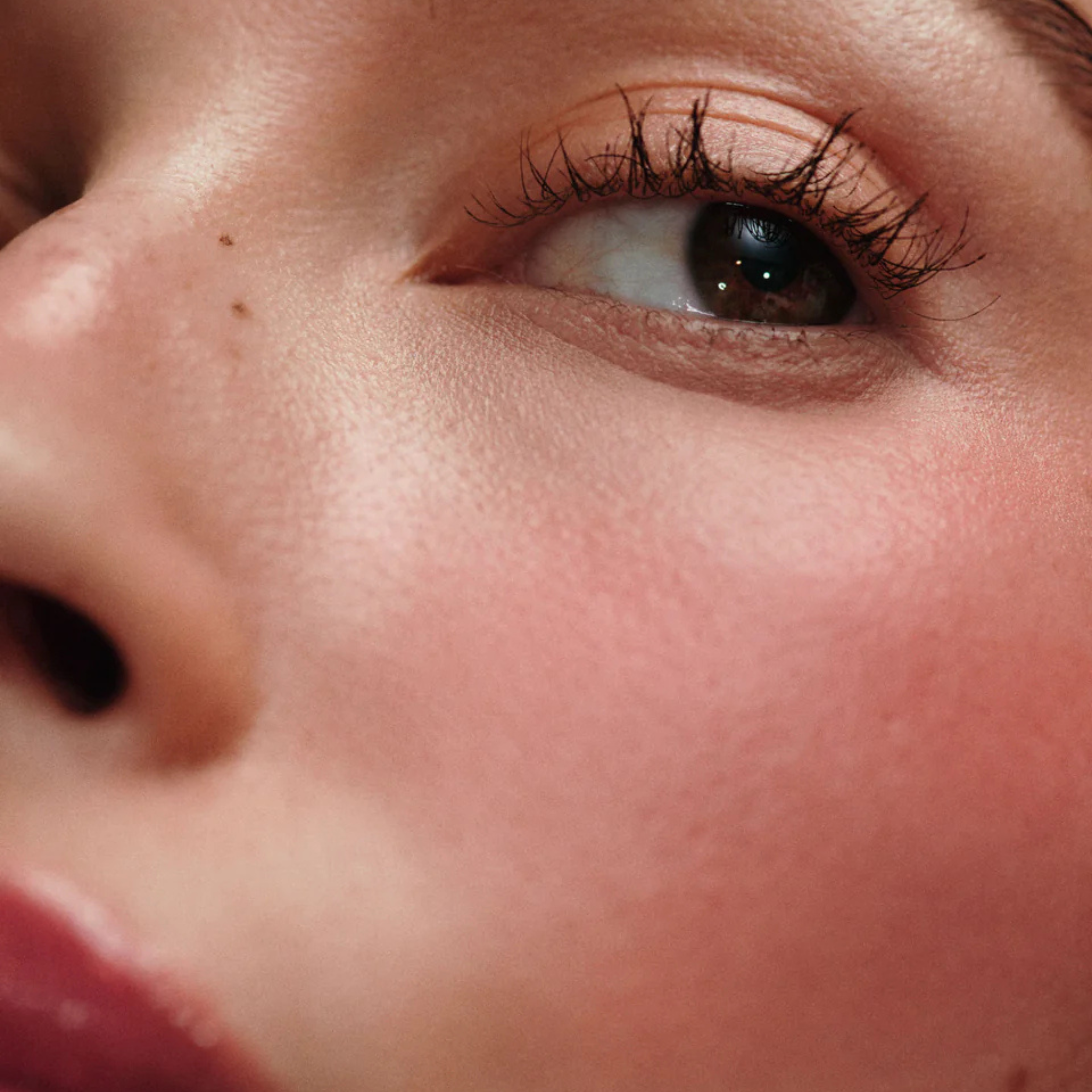 Rhode Pocket Blush - Freckle