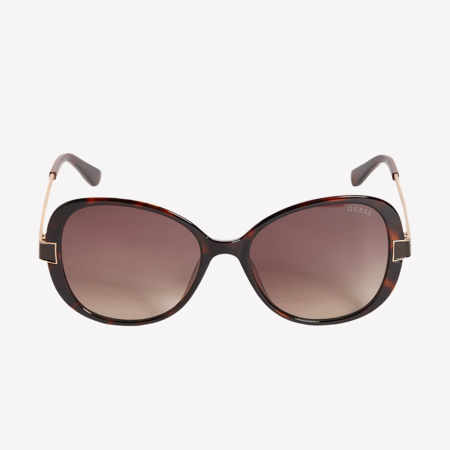 Guess Women Oversized Oval Sunglasses - Dark Havana