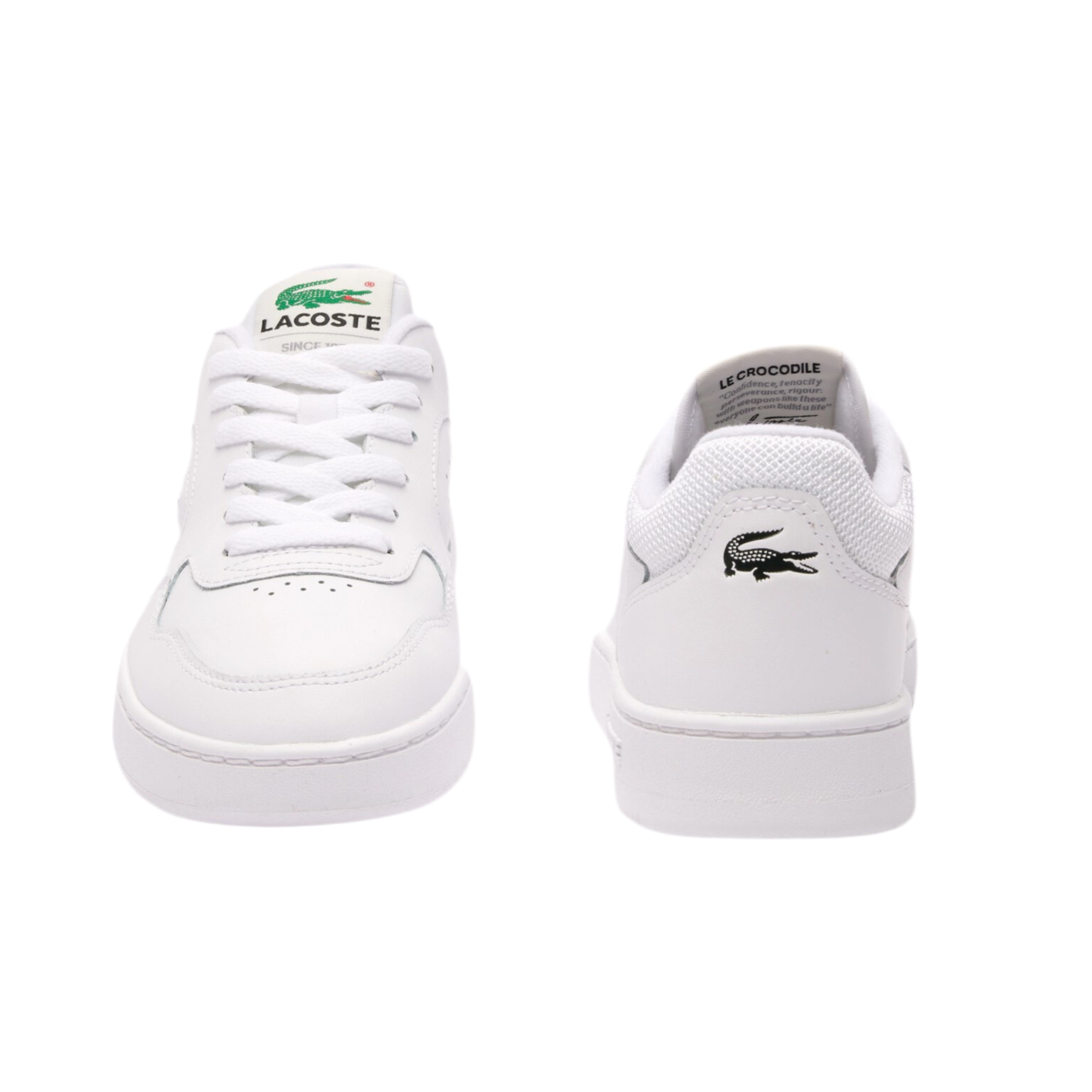 Lacoste Women Lineset Sneakers - White