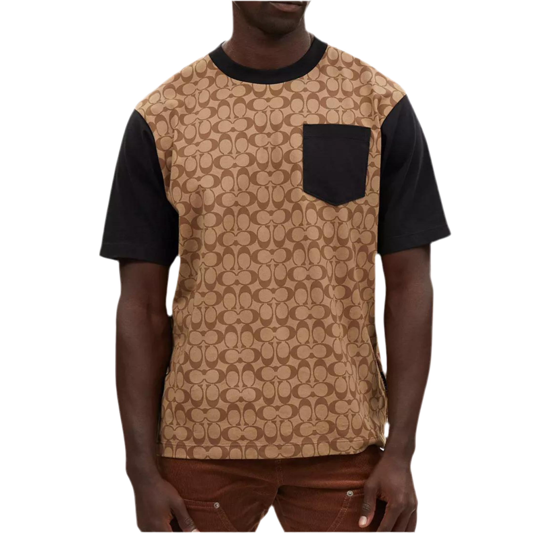 COACH Men Signature T Shirt In Organic Cotton - Khaki