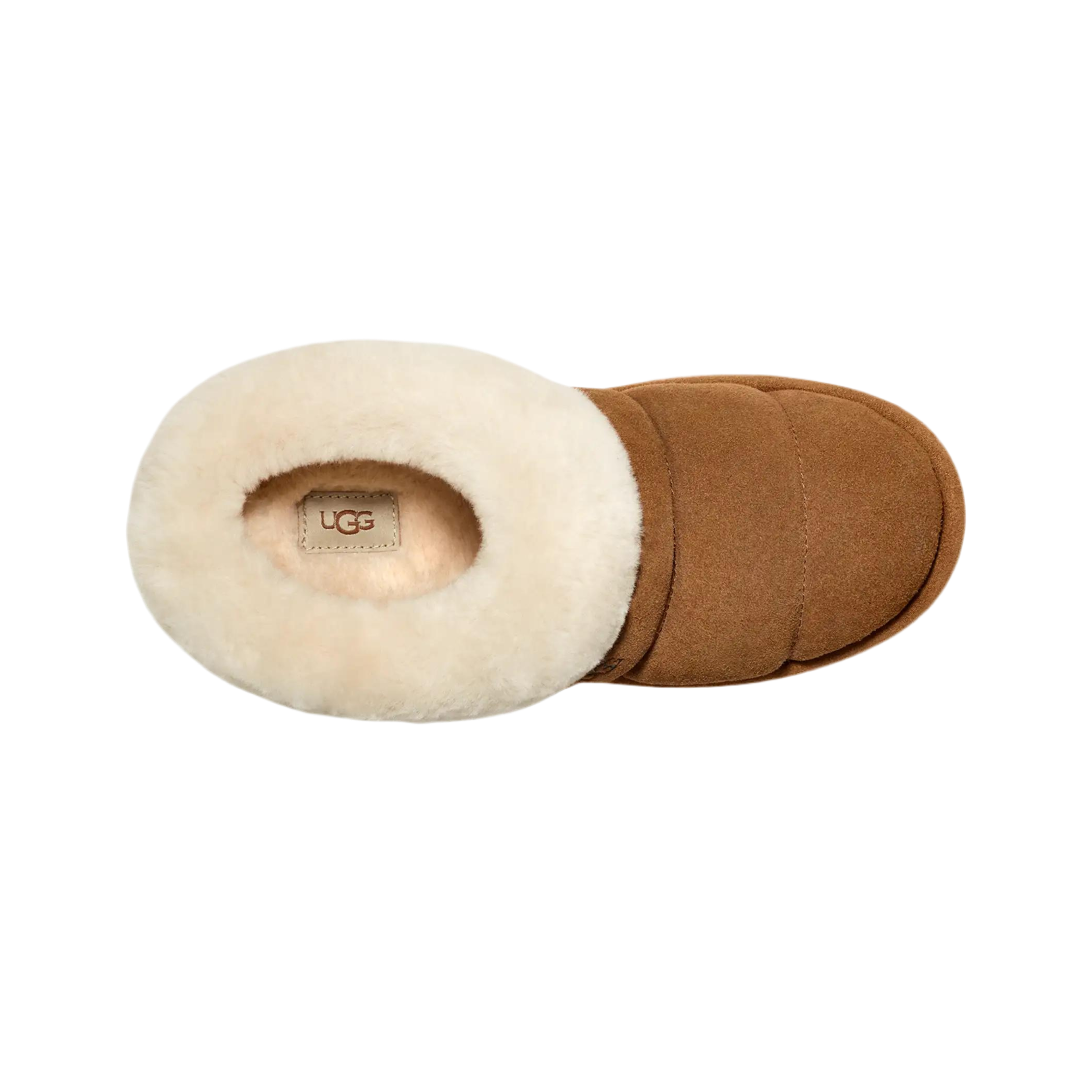 UGG Women Tazzlita - Chestnut