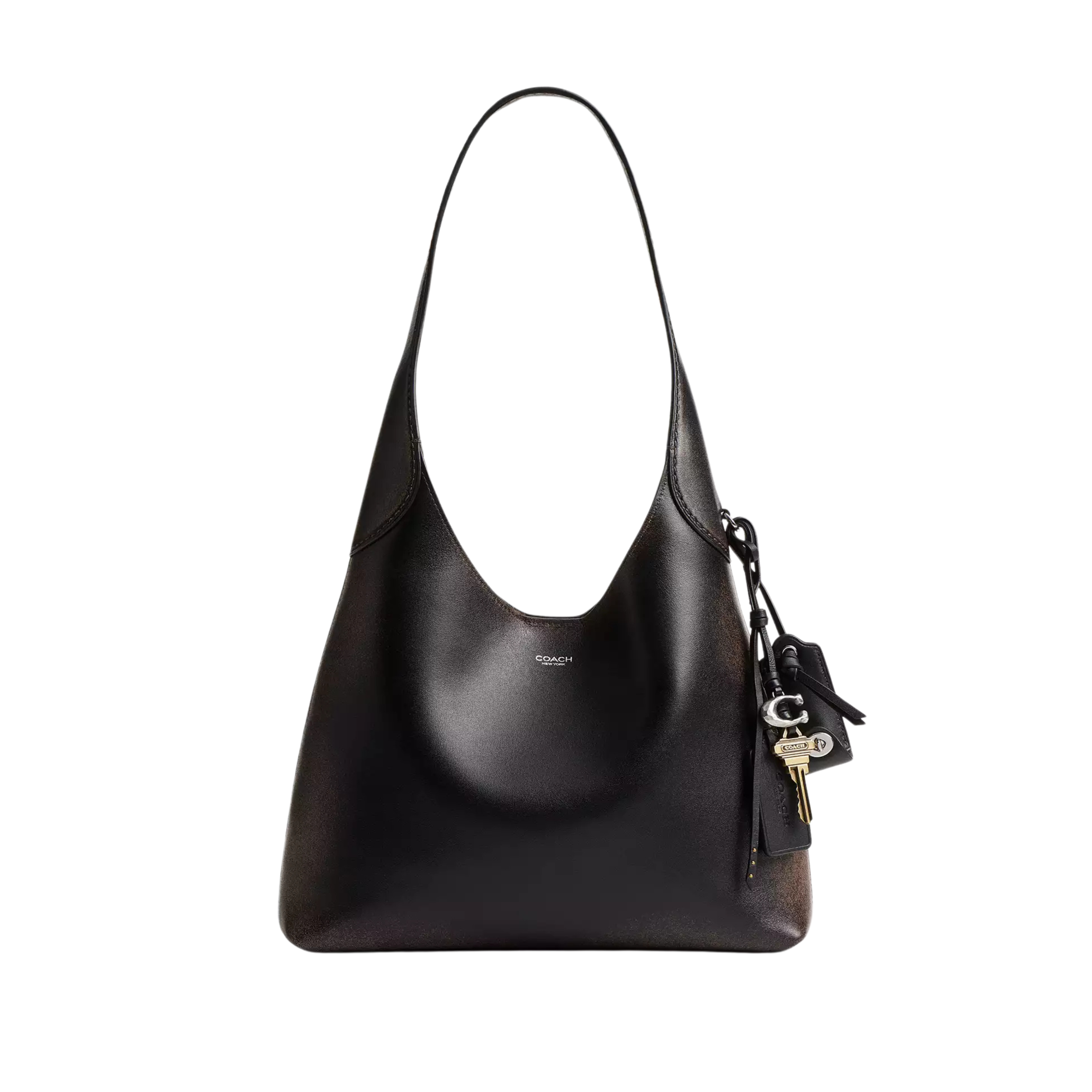 COACH Women Brooklyn Shoulder Bag 28 - Silver Black Brown