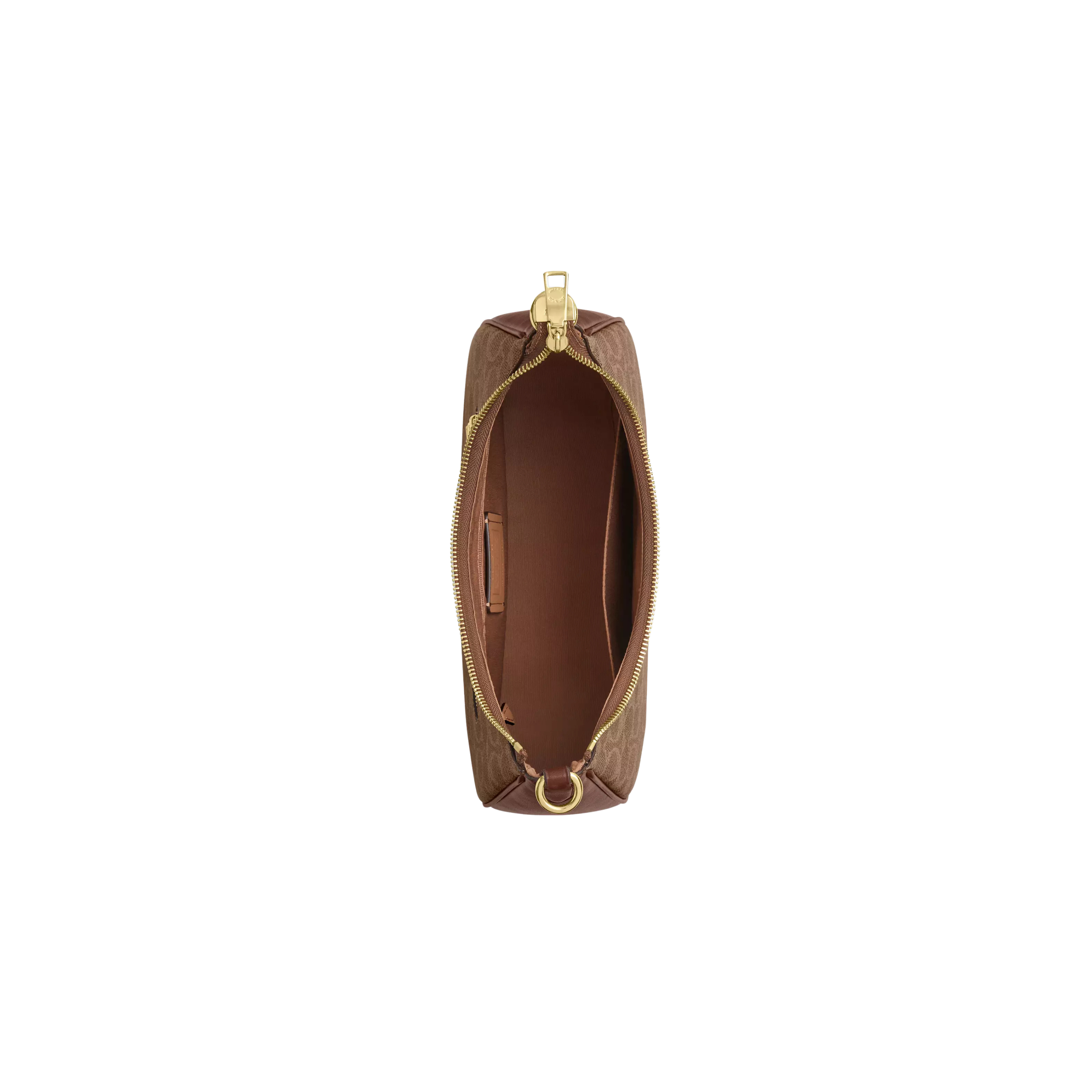 COACH Women Teri Hobo Bag - Gold Tan Brown