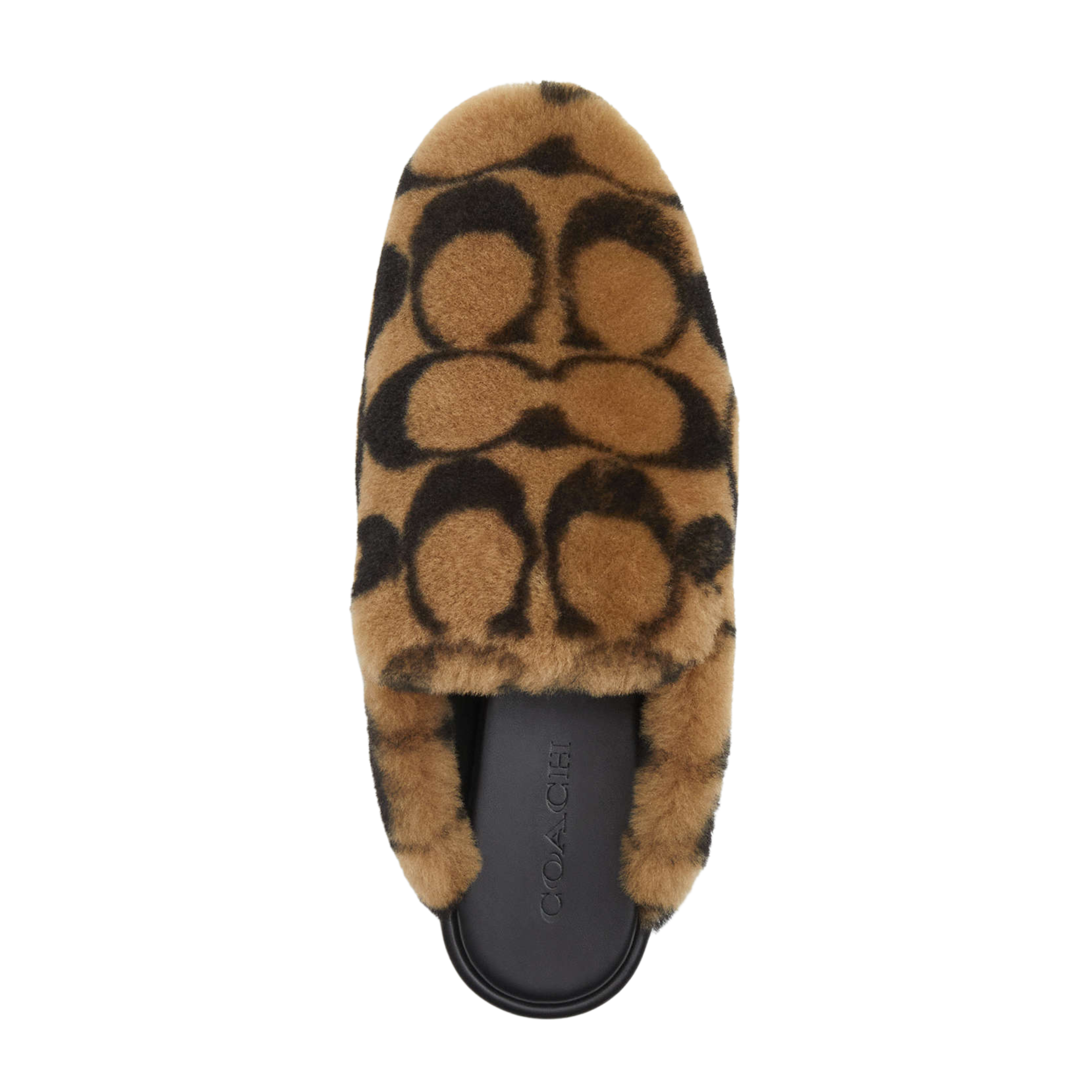 COACH Women's Slipper - Coconut