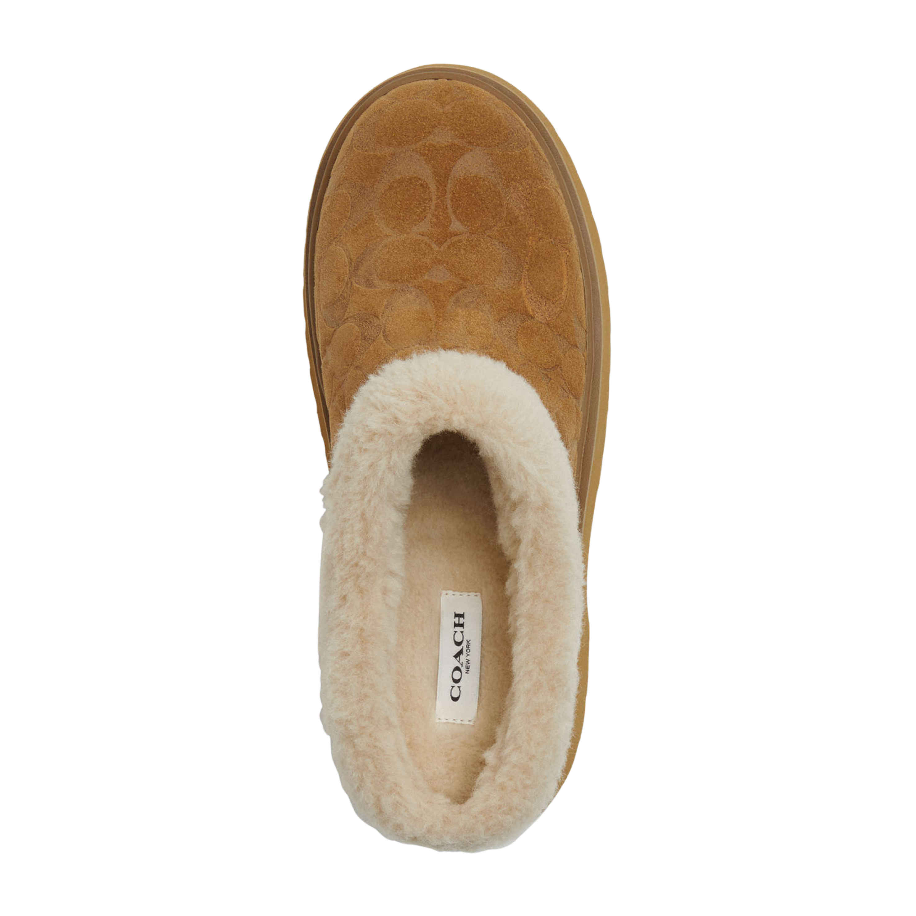 COACH Women's Cecelia Clog - Tobacco