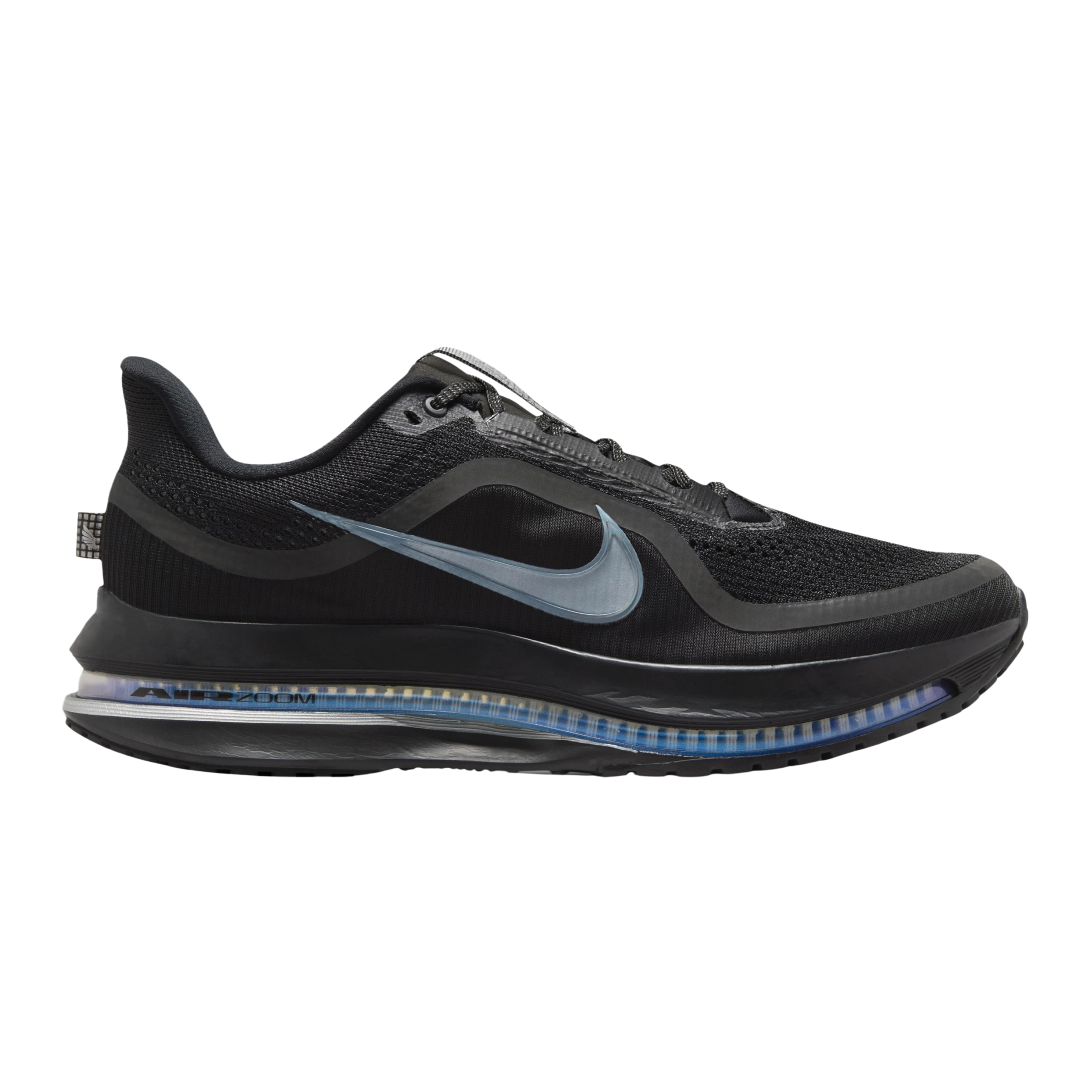 Nike Men's Pegasus Premium - Black Metallic Silver