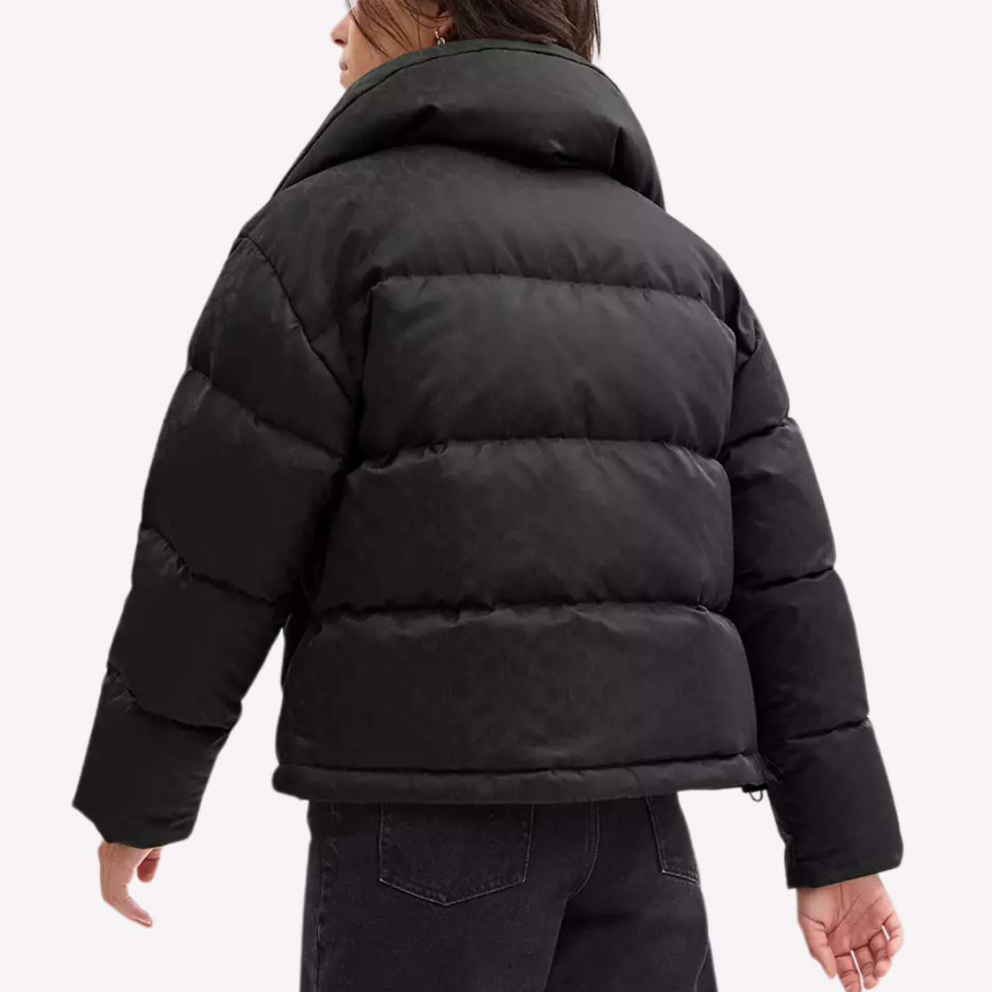 COACH Women Short Puffer - Black