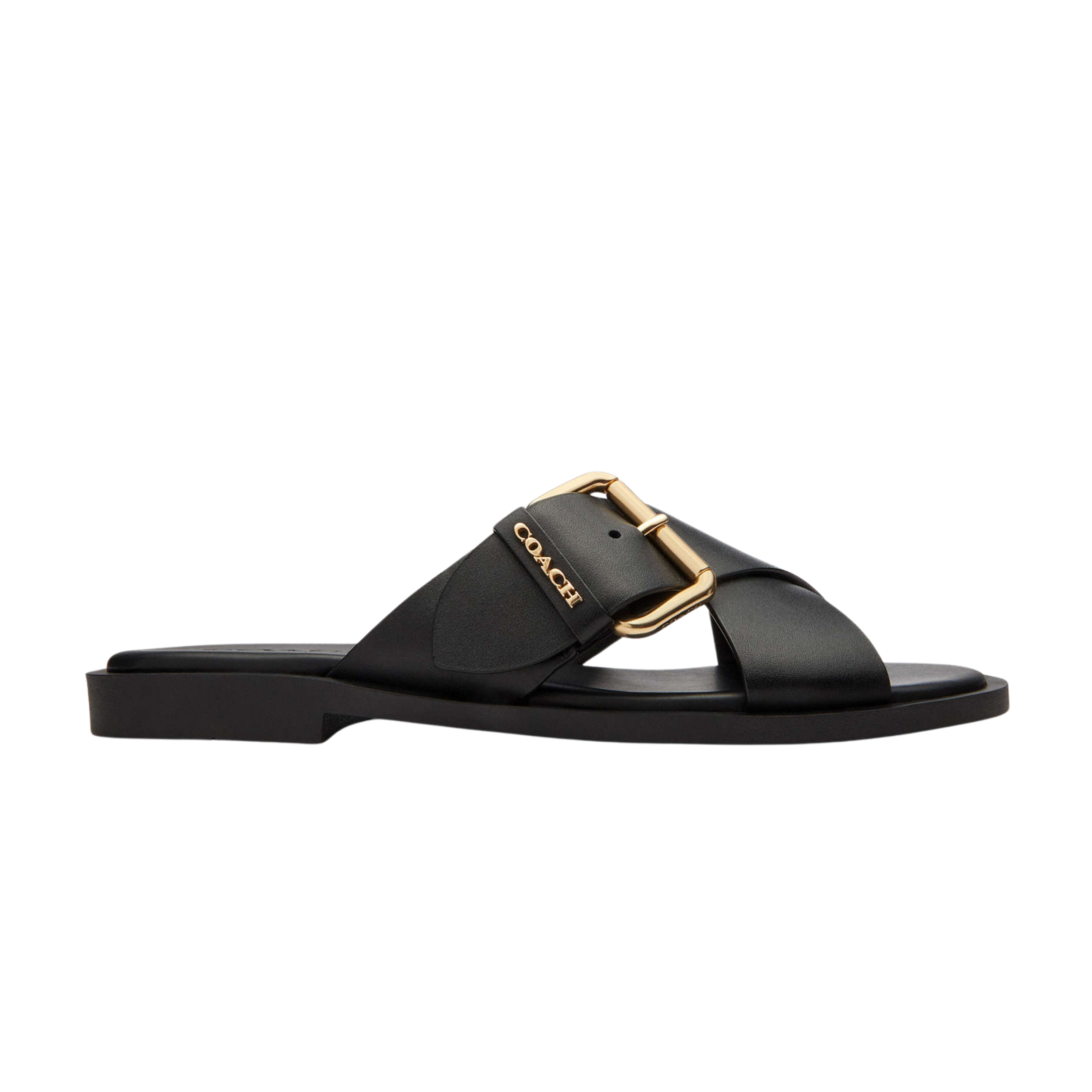 Coach Women's Crisscross Buckle Sandal - Black