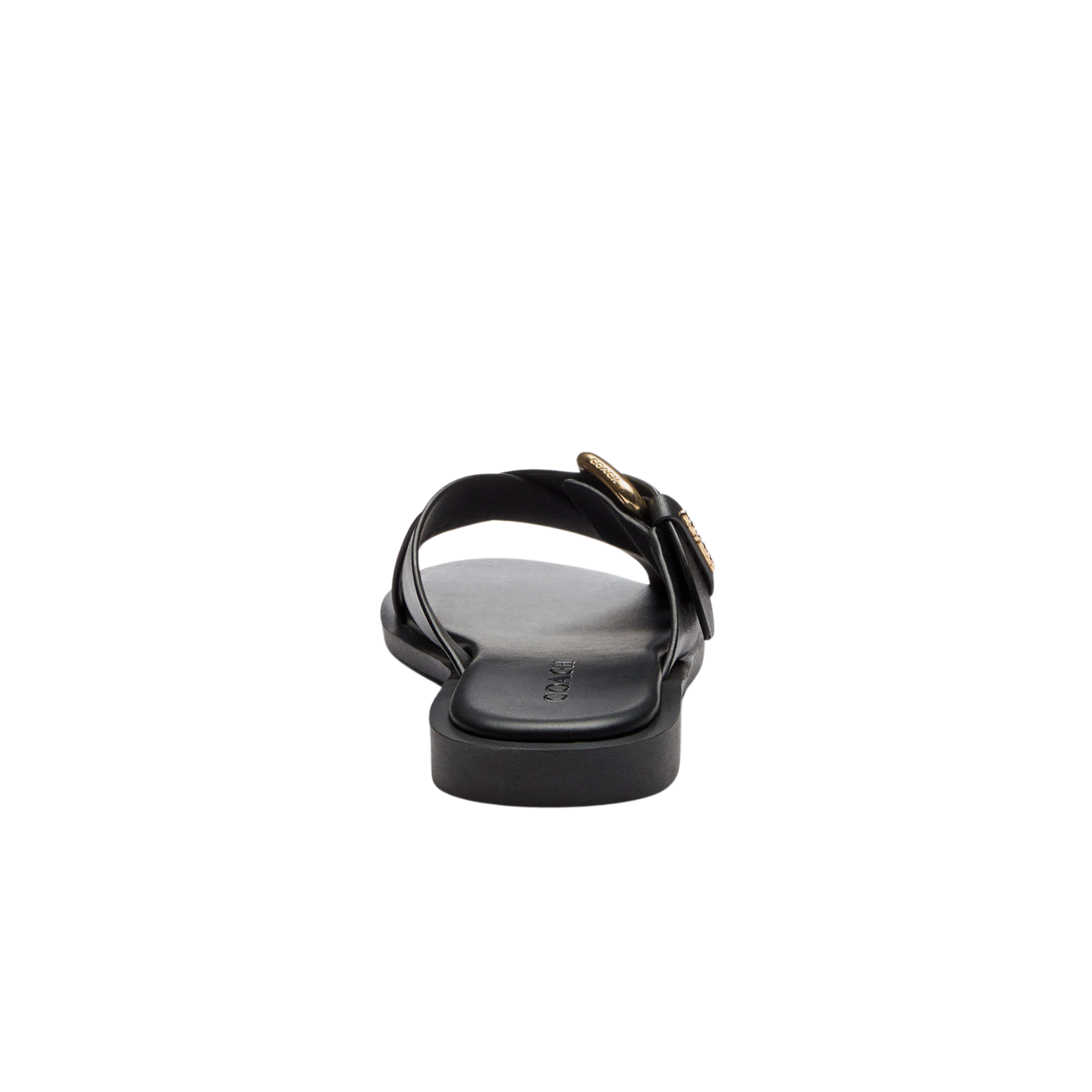 Coach Women's Crisscross Buckle Sandal - Black