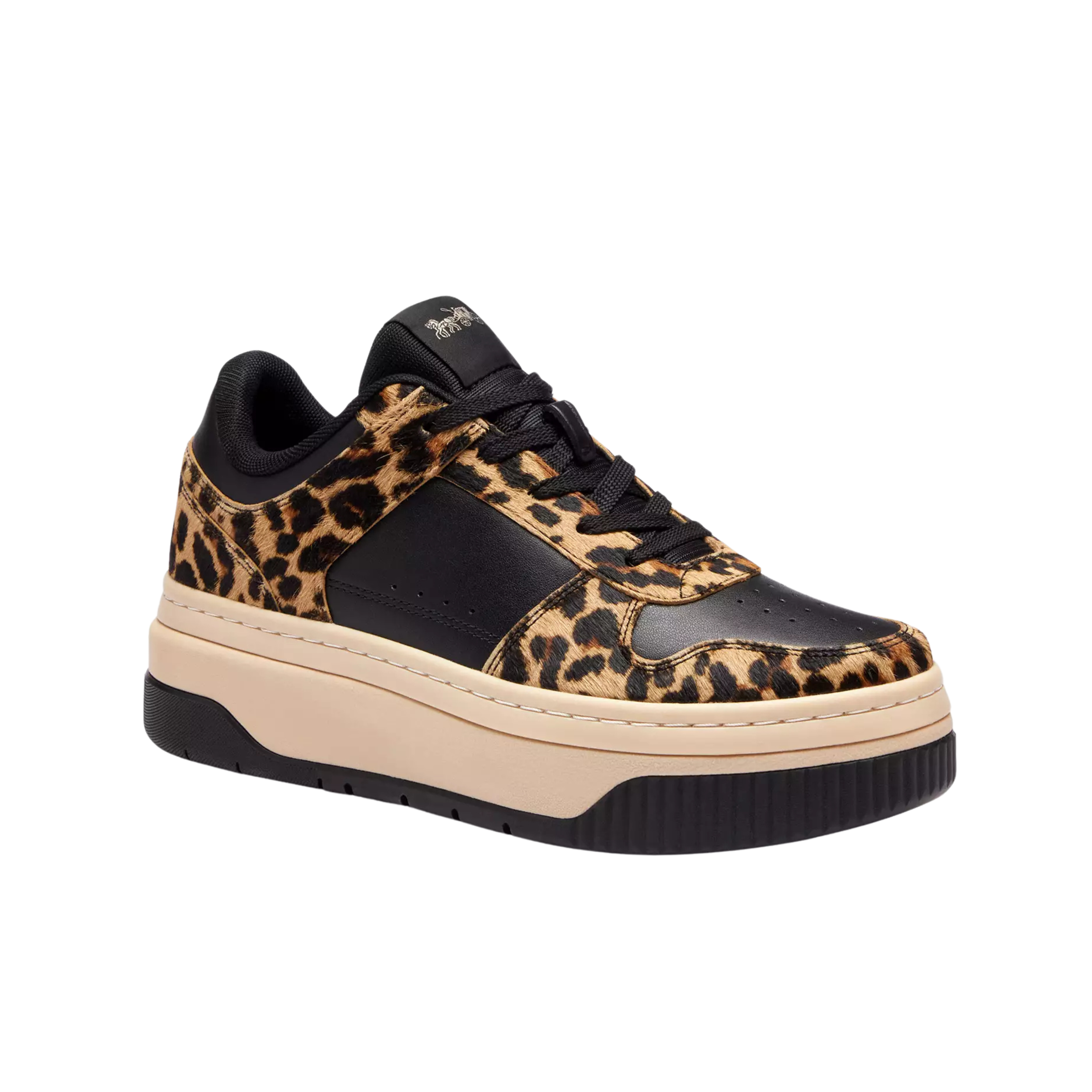 COACH Women's Platform Sneaker - Black Leopard