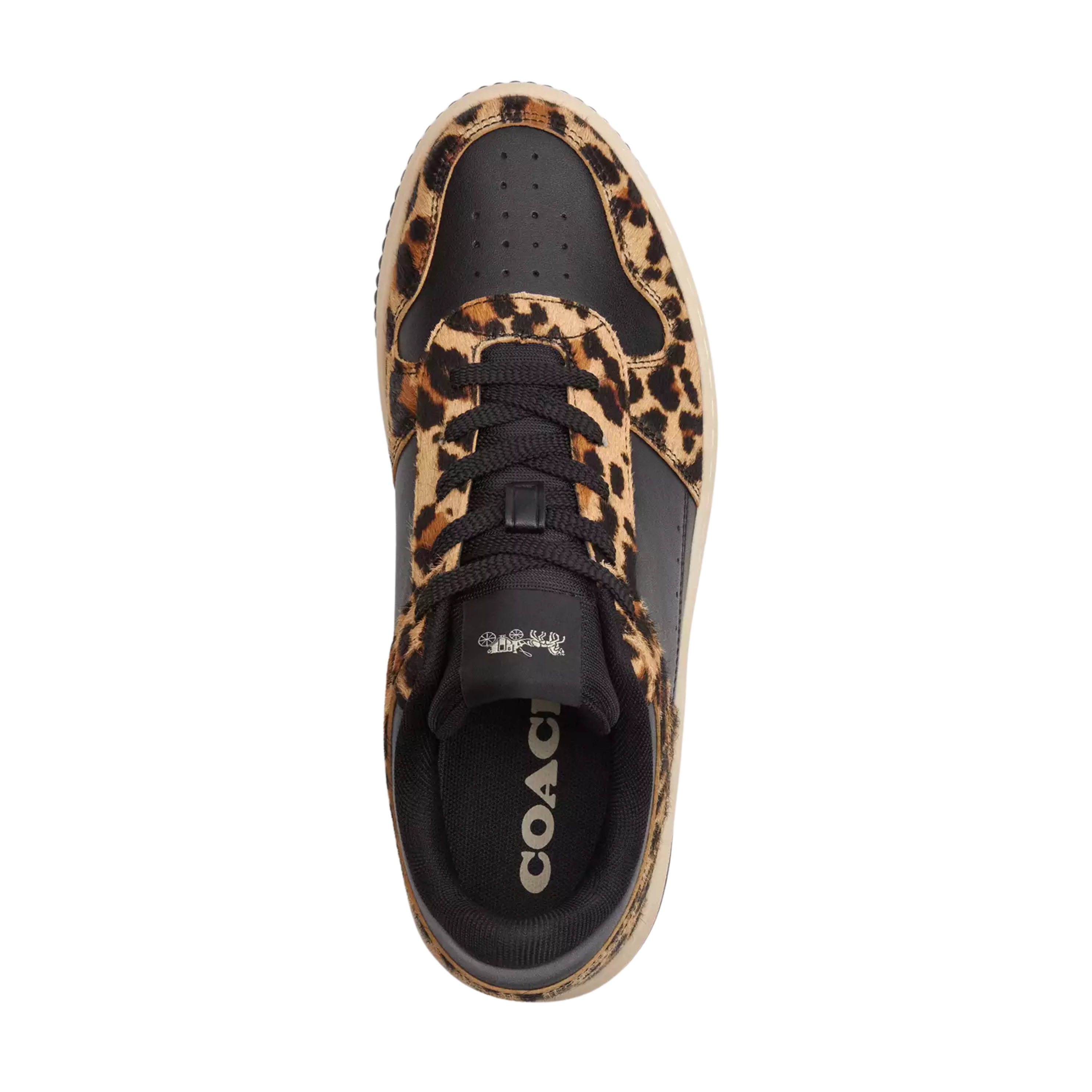 COACH Women's Platform Sneaker - Black Leopard