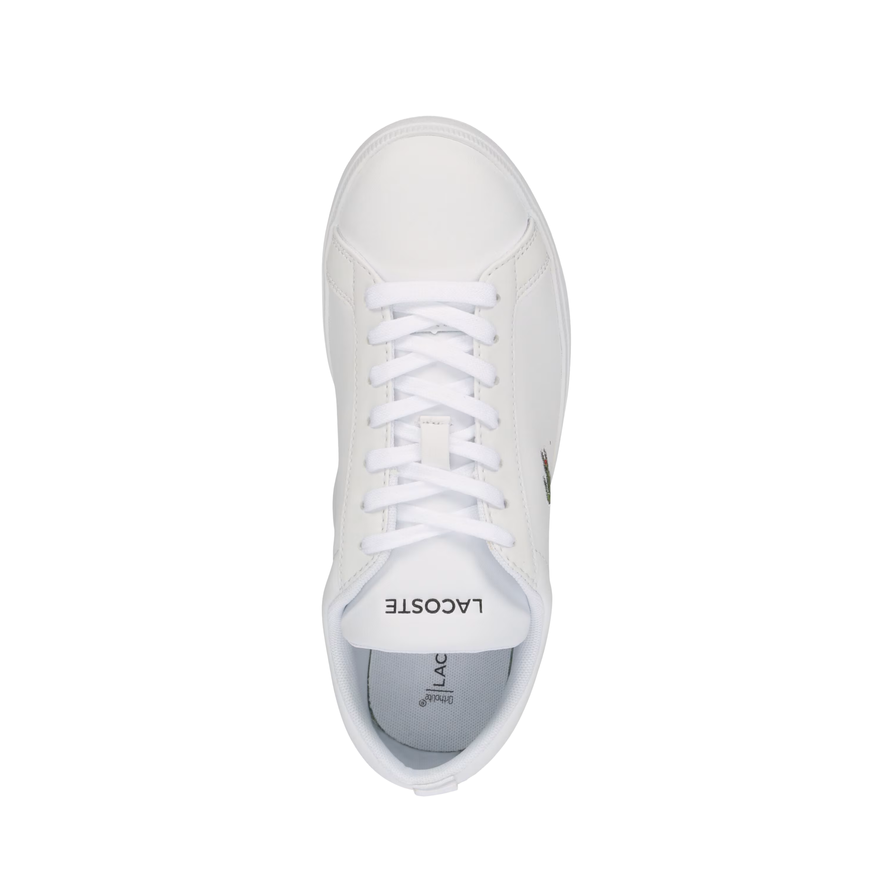 Lacoste Women Carnabase Sneaker - White