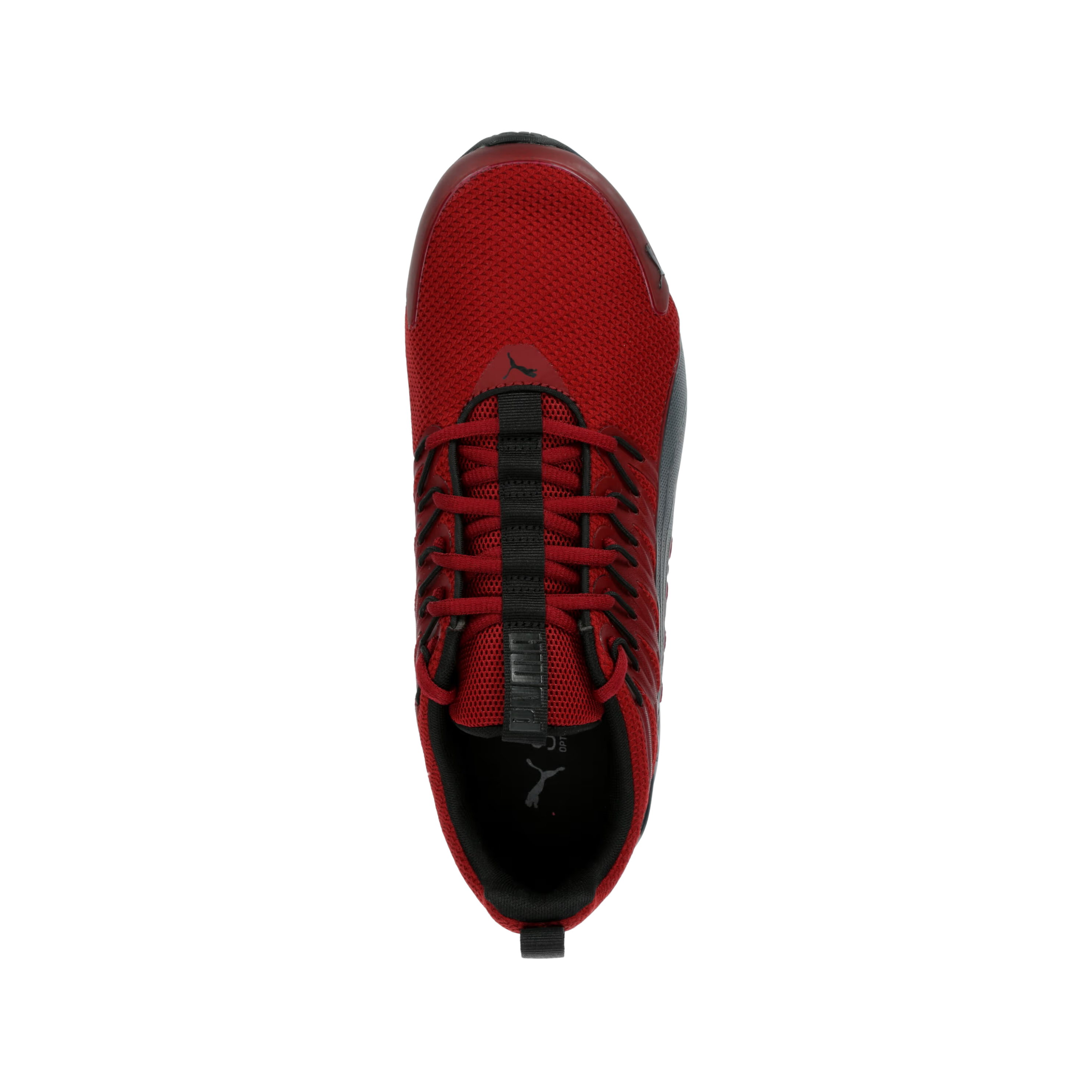 Puma Men Voltaic Evo - Burgundy