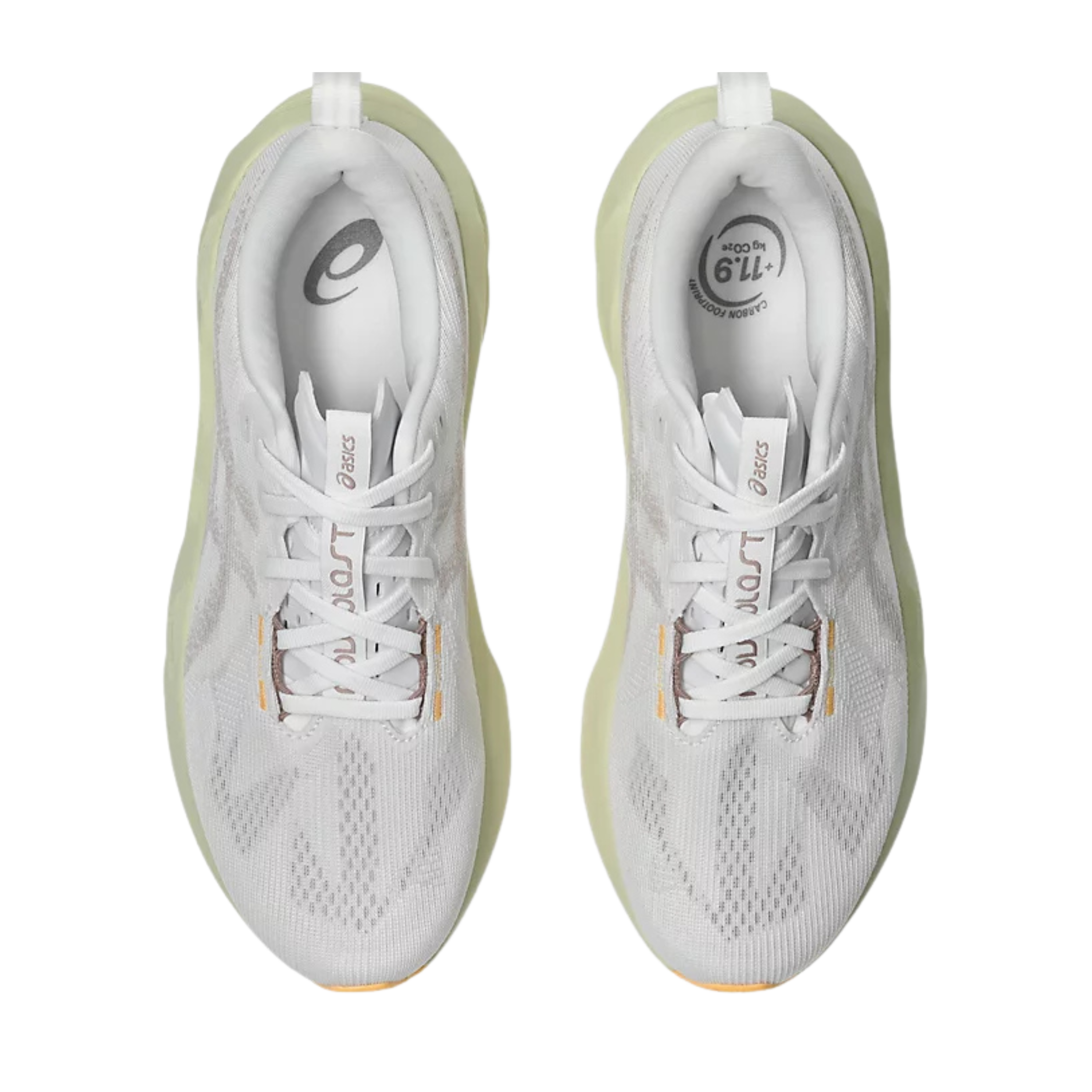 Asics Men Novablast 5 - White Fawn