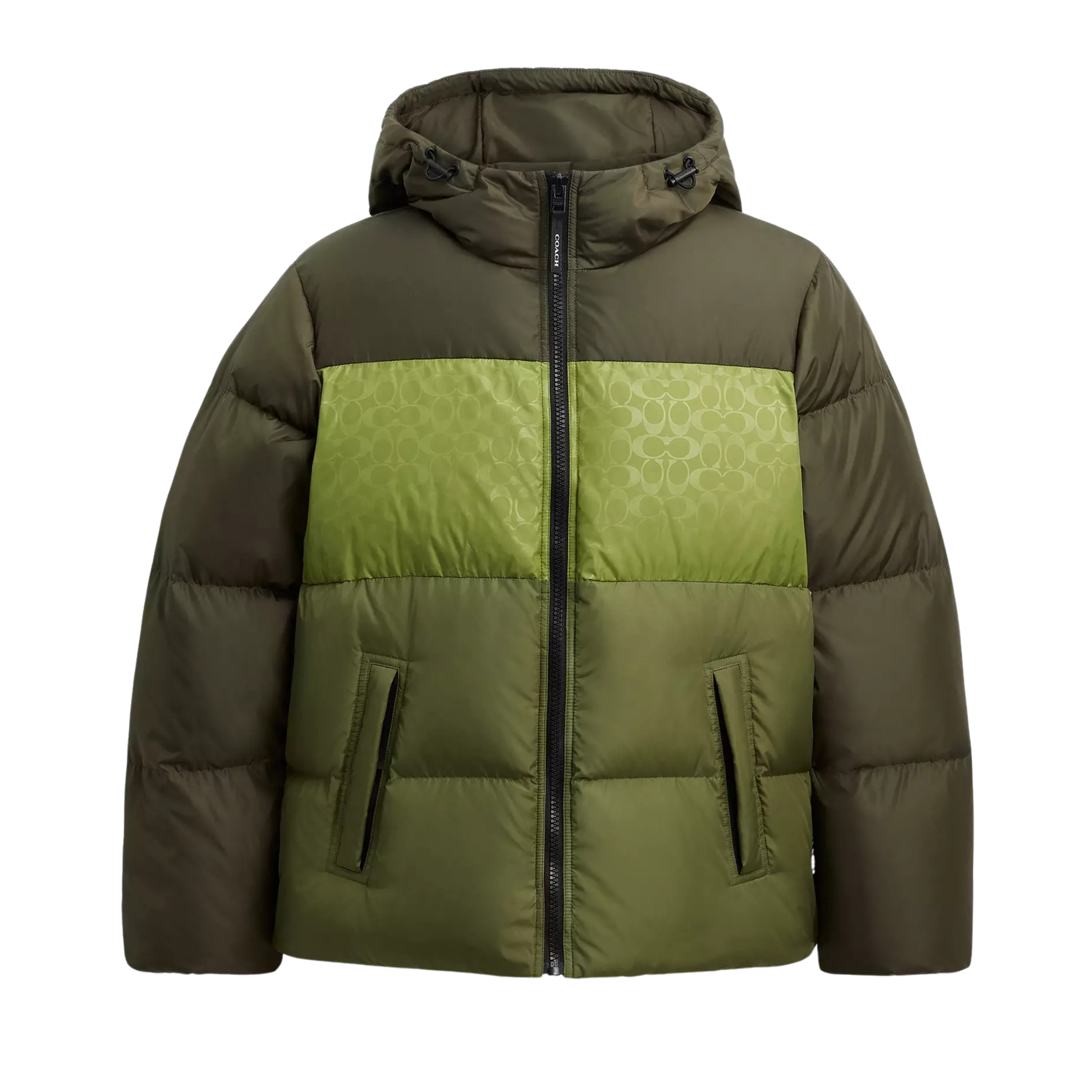 COACH Men Down Jacket - Green Multi