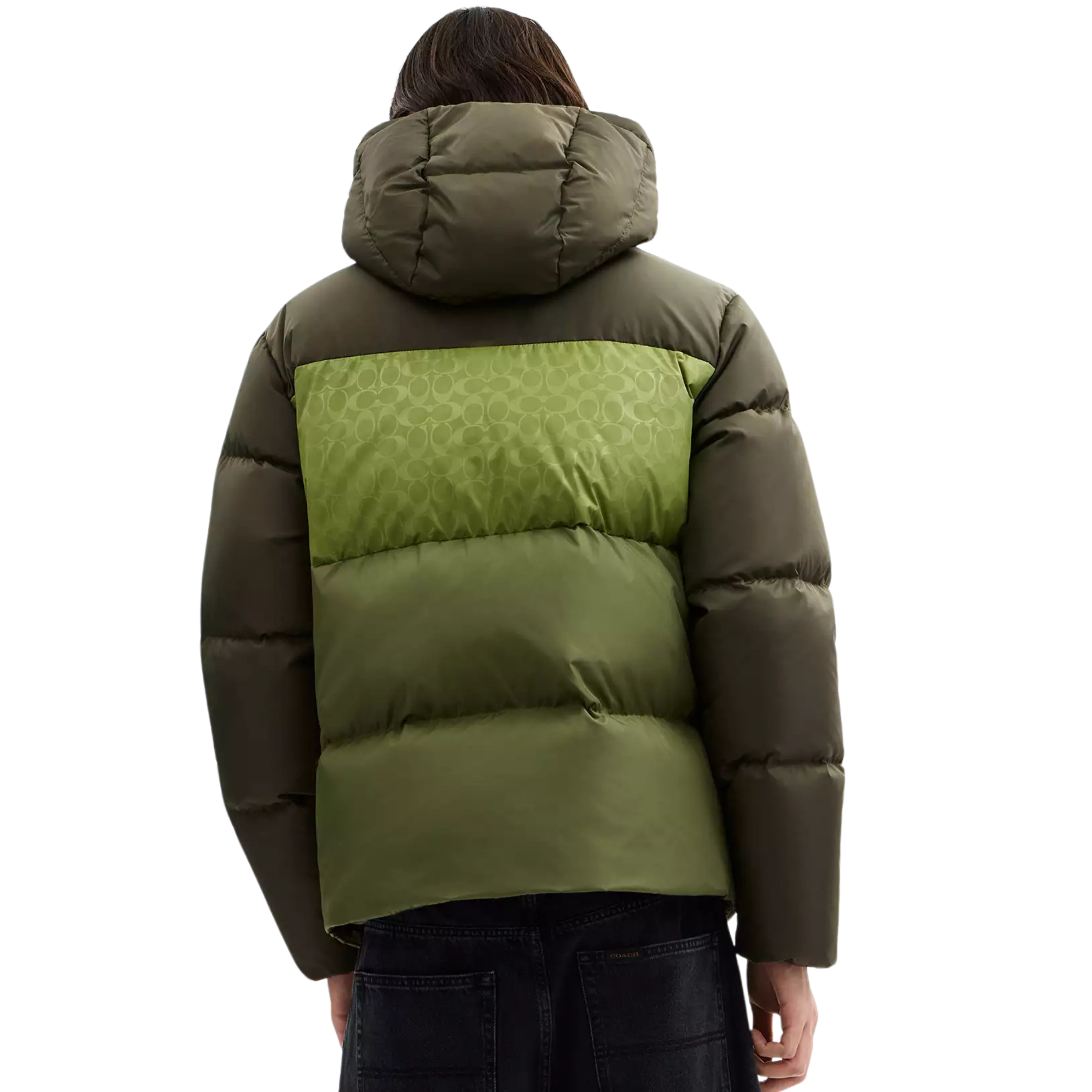 COACH Men Down Jacket - Green Multi