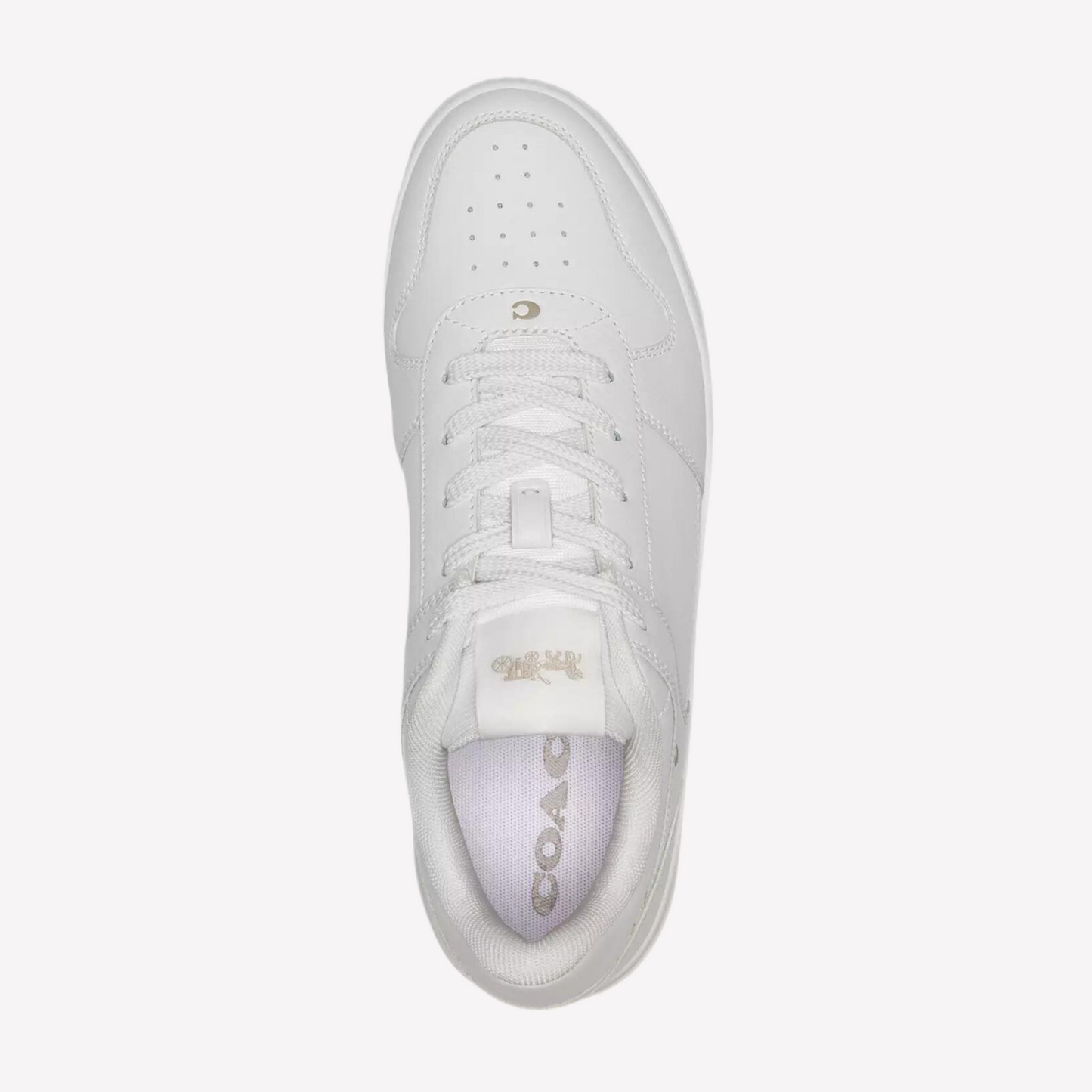 COACH Women's Platform Sneaker - White