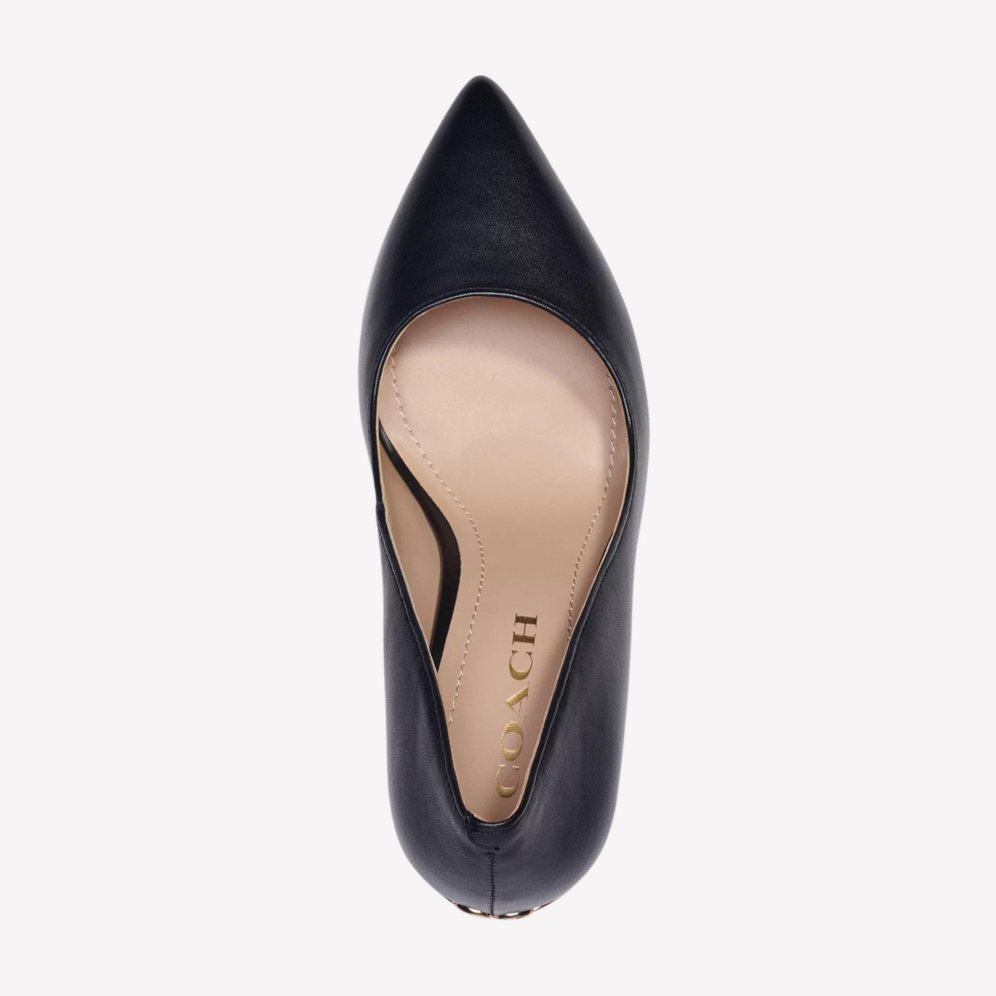 COACH Women's Wiley Pump - Black