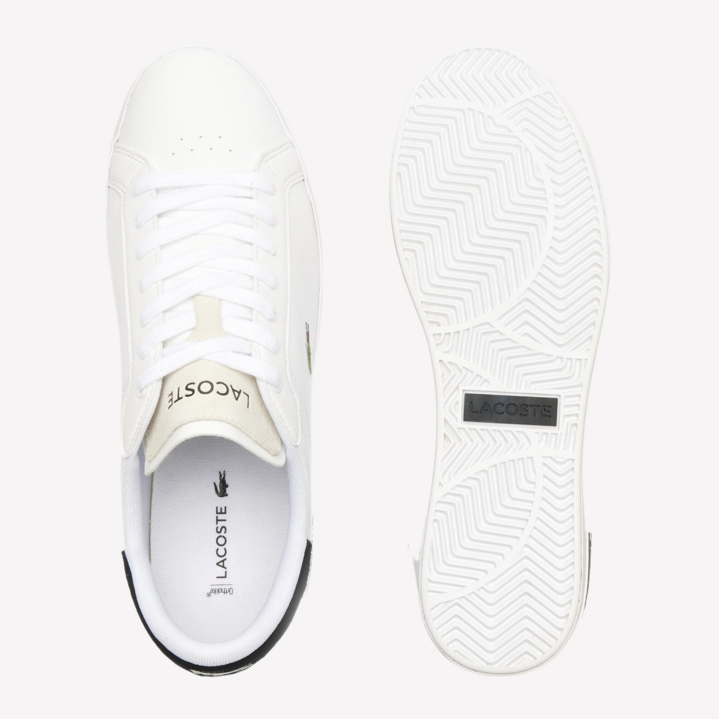 Lacoste Men Powercourt Leather - White