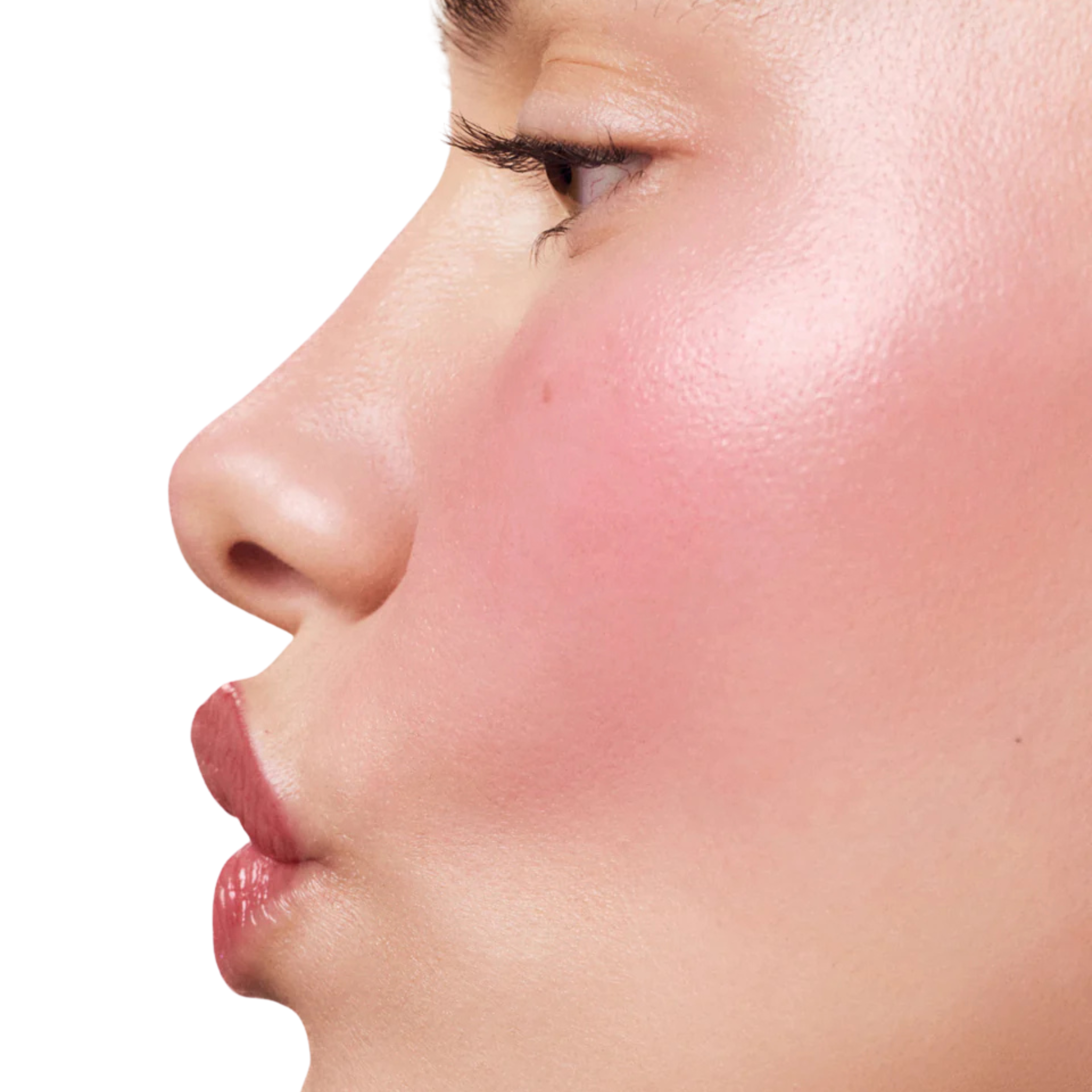 Rhode Pocket Blush - Plum