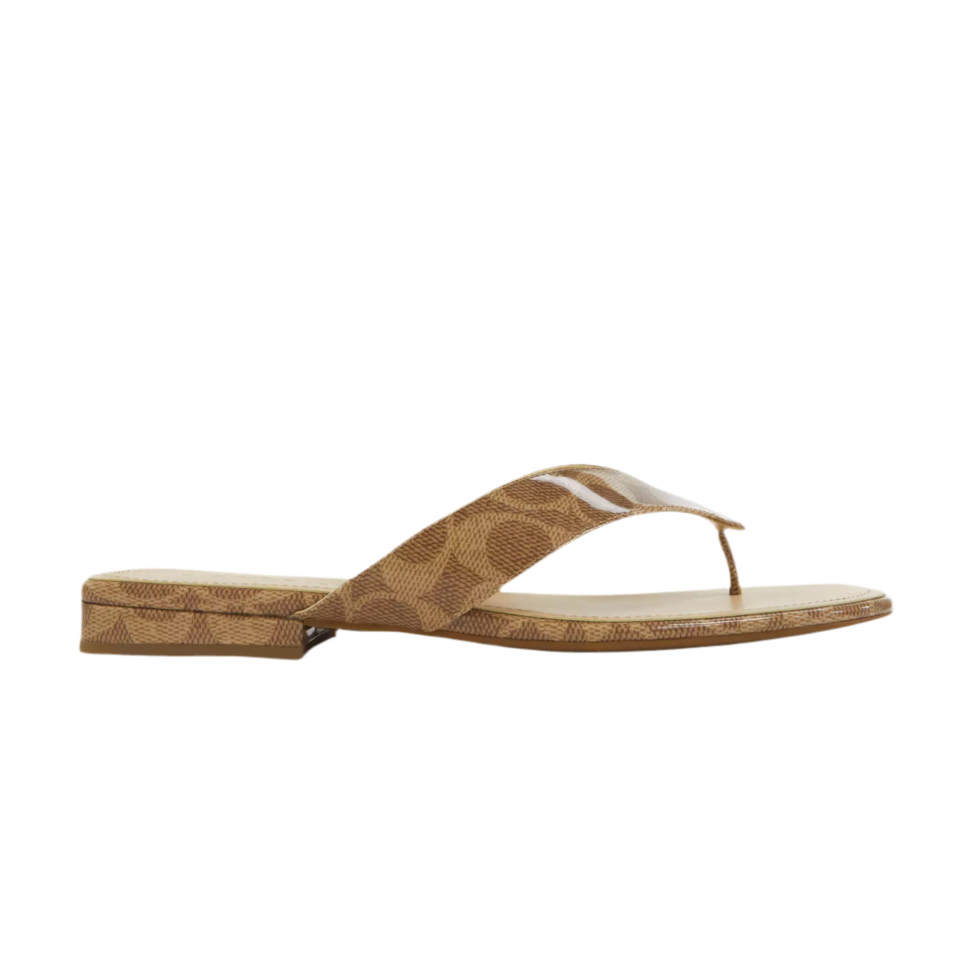 COACH Women's Bridgette Sandal - Tan