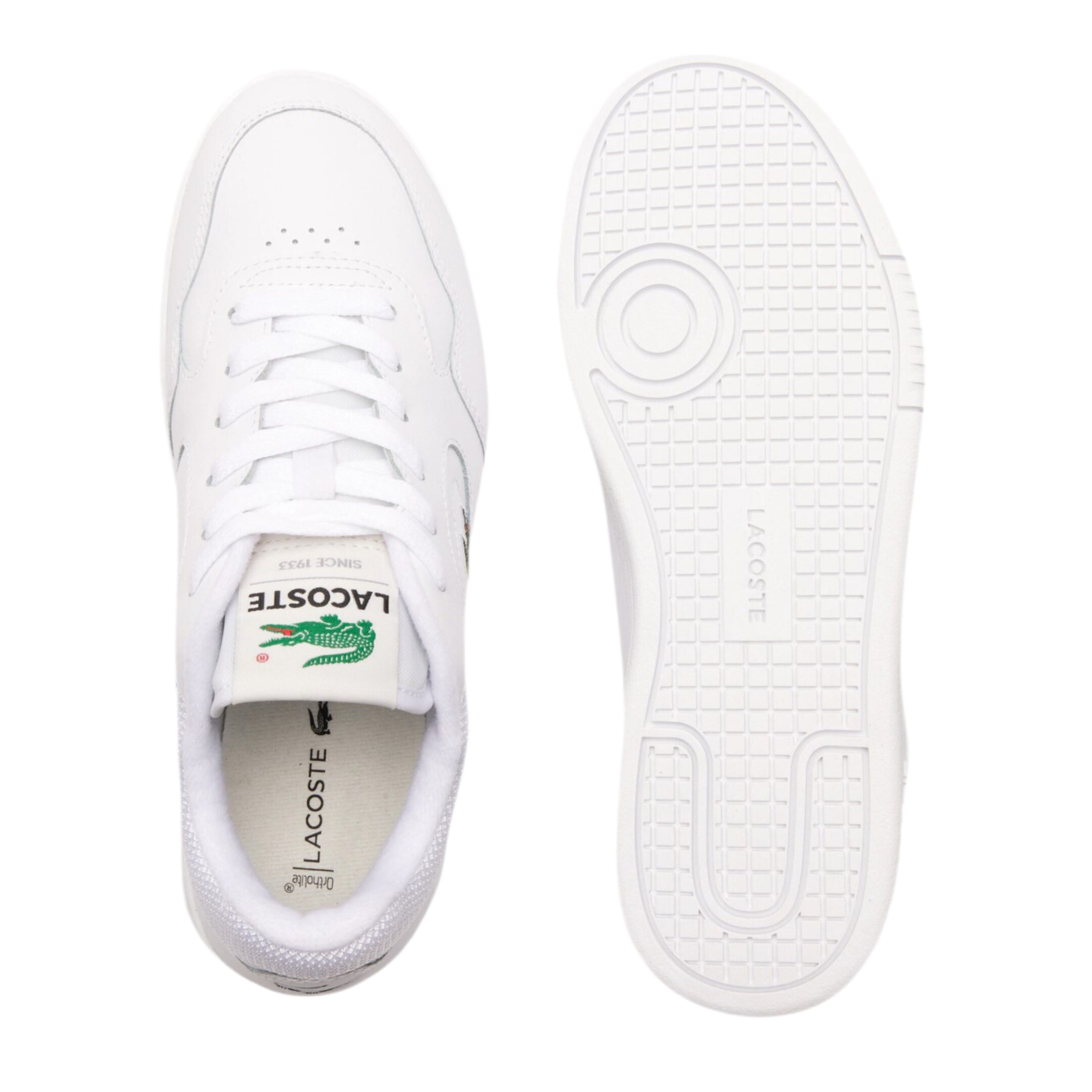 Lacoste Women Lineset Sneakers - White