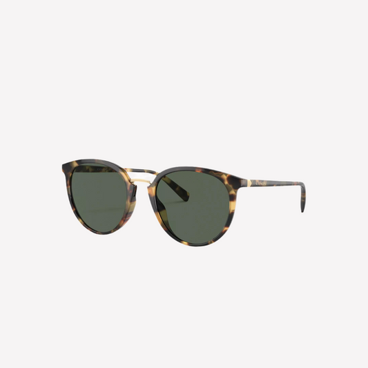 Coach Men Hangtag Round Sunglasses - Tokyo Tortoise