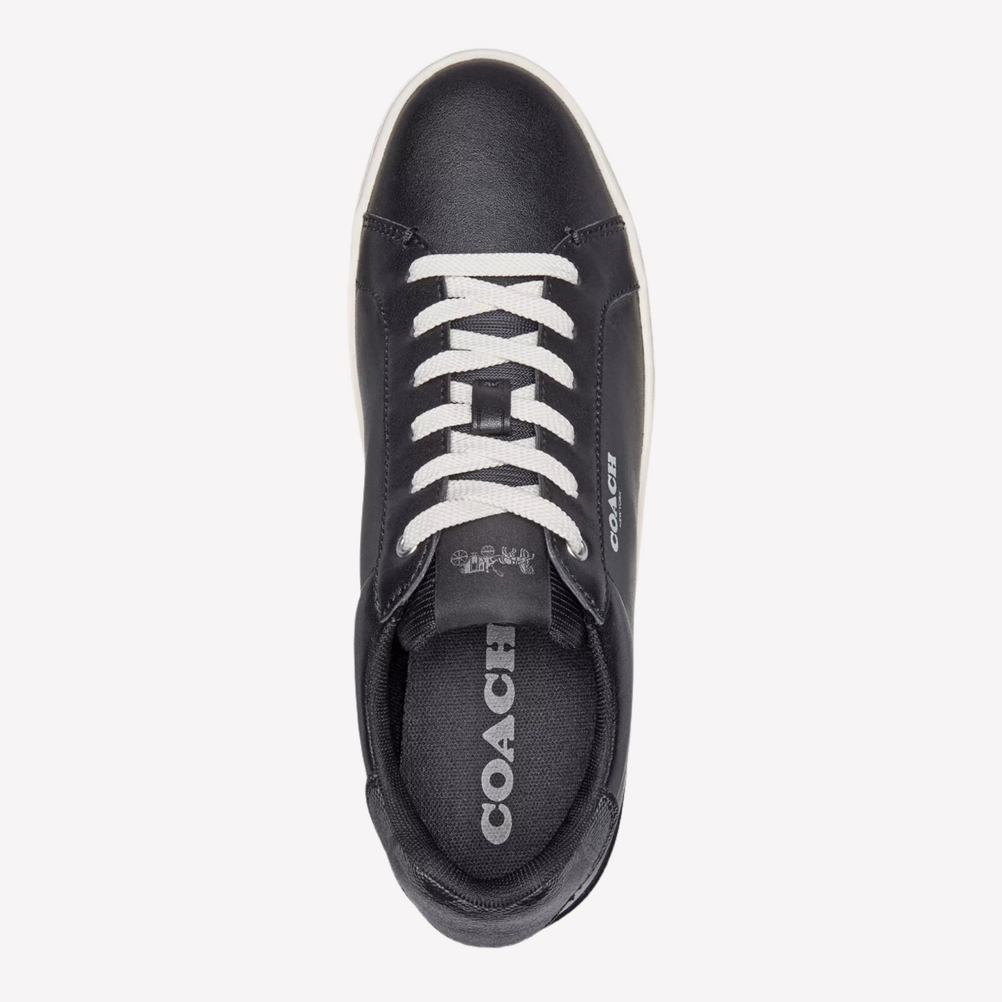 COACH Women's Clip Low-top - Black