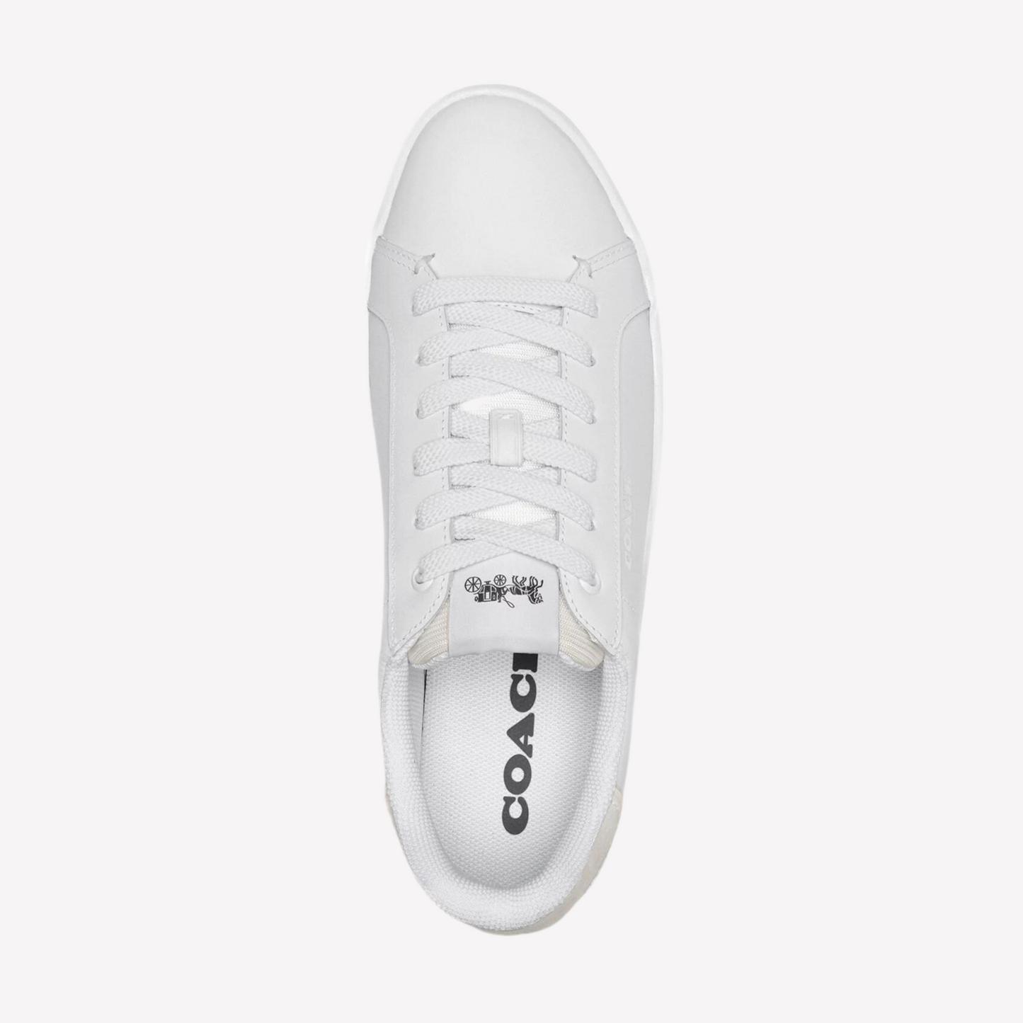 COACH Women's Clip Low-top - Optic White