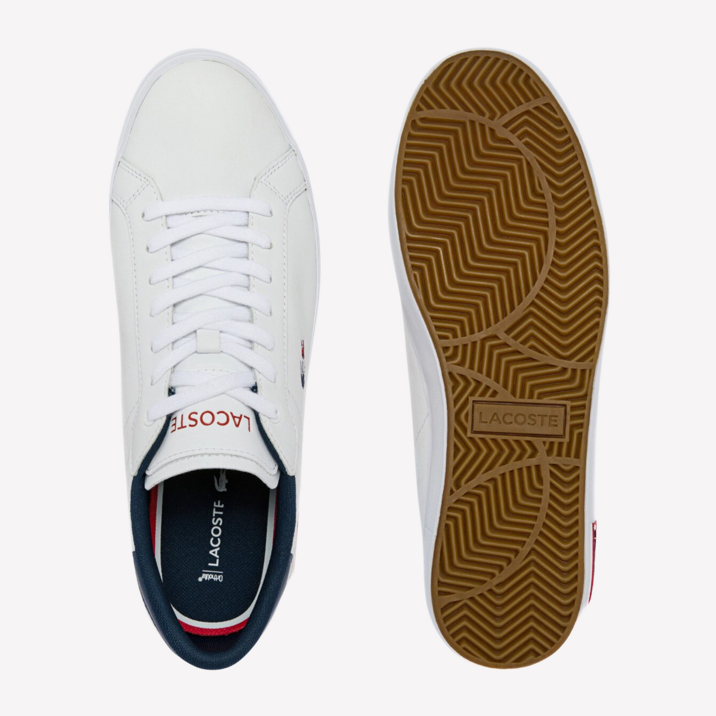 Lacoste Women Powercourt Leather - Blue Multi